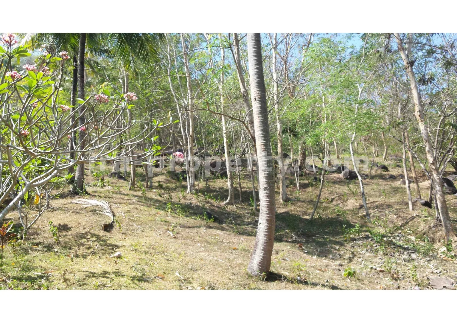 Tanah · Senggigi · foto 2 dari 11 Tanah Pemandangan Pantai untuk Dijual di Kerandangan, Lombok Barat - 377 - 2
