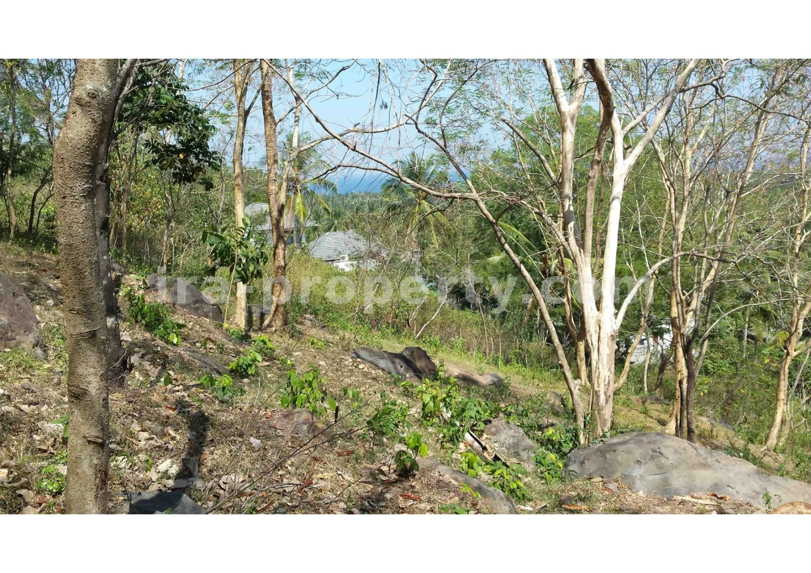 Tanah · Senggigi · foto 4 dari 11 Tanah Pemandangan Pantai untuk Dijual di Kerandangan, Lombok Barat - 377 - 4