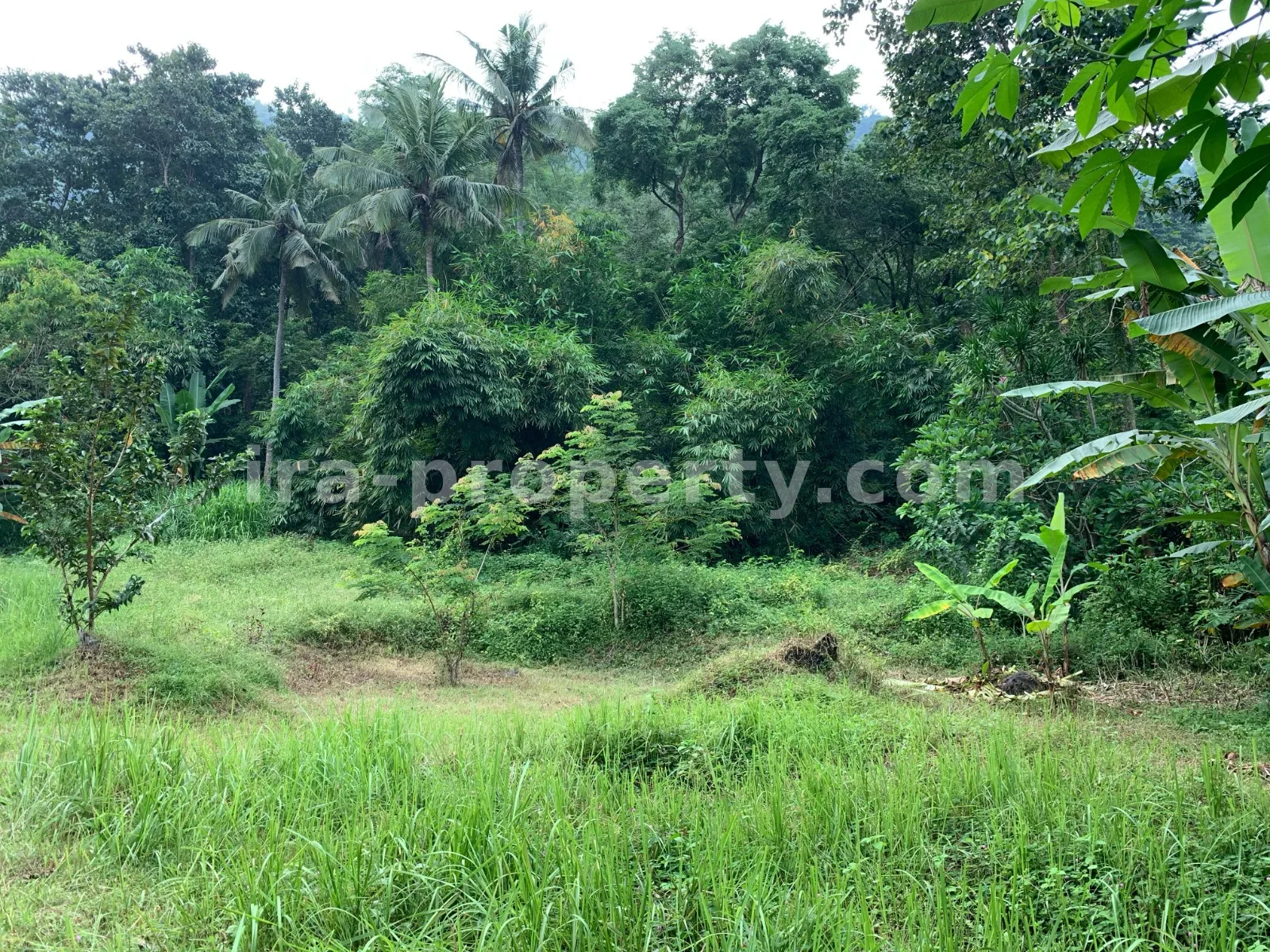 Tanah Pemandangan Pantai untuk Dijual di Kerandangan, Lombok Barat - 377 - 8