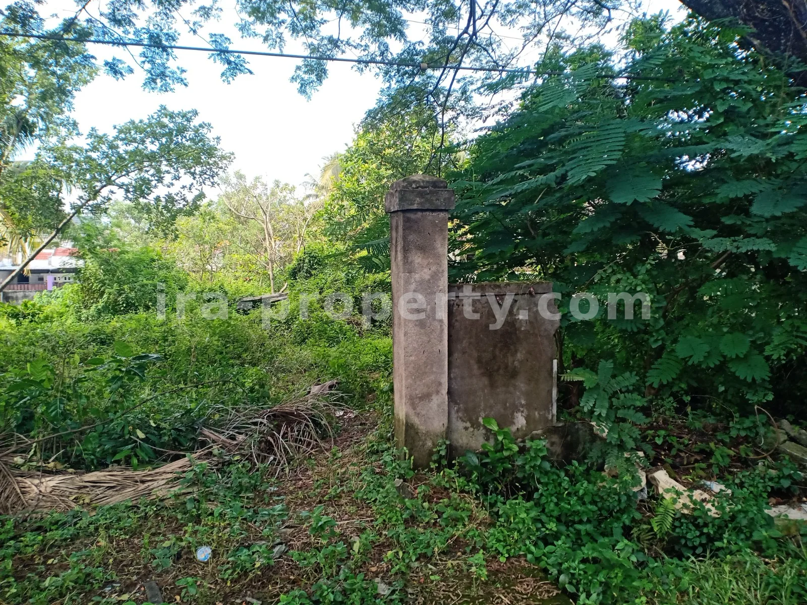 Tanah · Area Lombok Tengah · foto 4 dari 4 Tanah Strategis di Praya, Dekat SPBU Praya, Lombok Tengah - 88 - 4