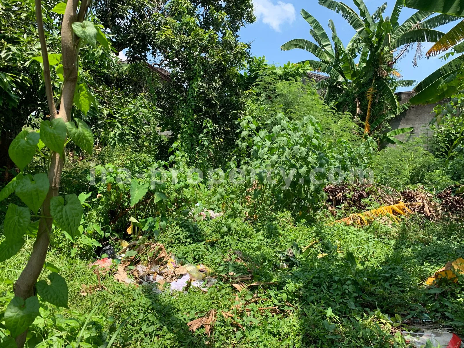 Land · Mataram City · photo 2 of 5 Land for Sale in Tinggar, Ampenan, Mataram - 499 - 2