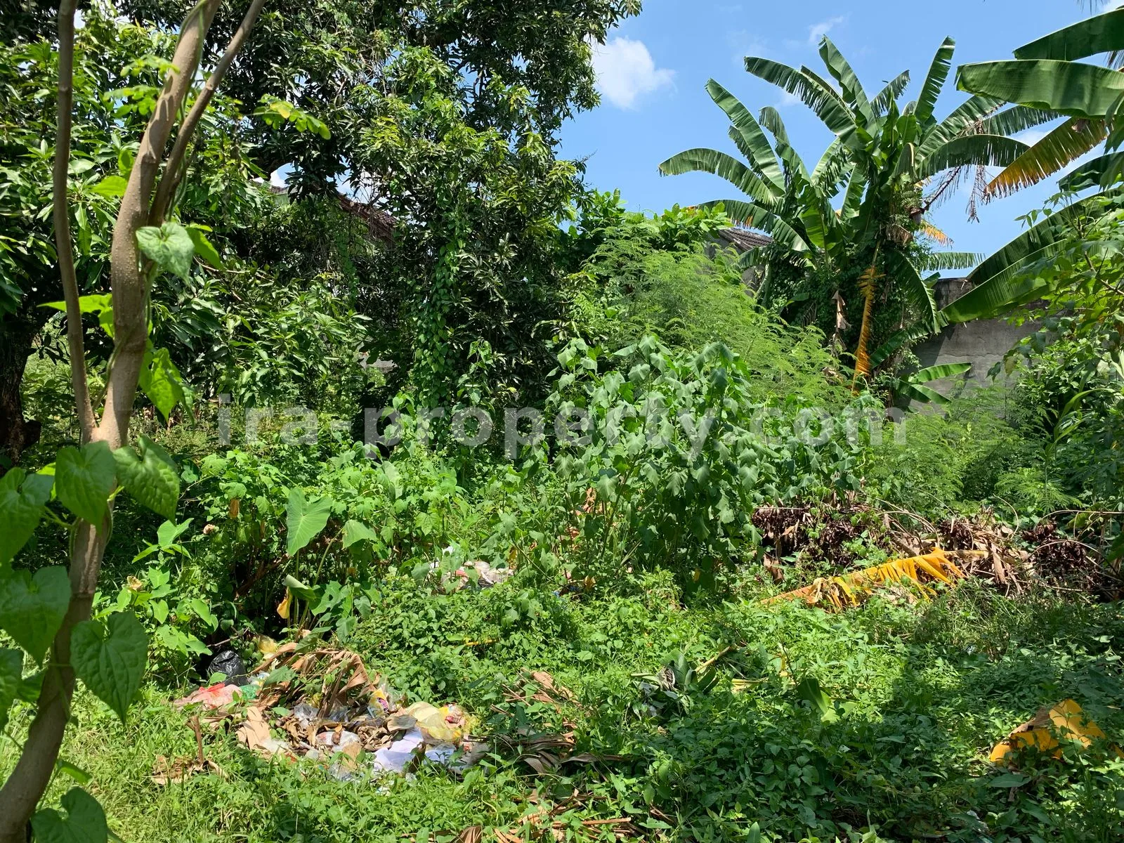 Land · Mataram City · photo 3 of 5 Land for Sale in Tinggar, Ampenan, Mataram - 499 - 3