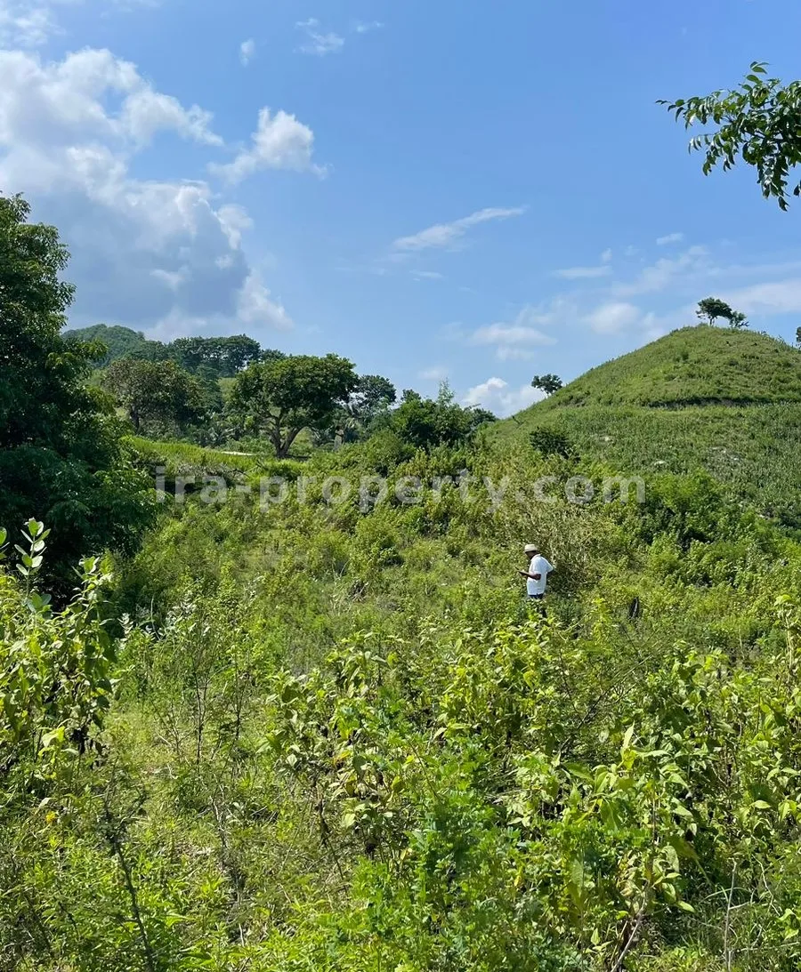 Tanah Dijual dengan Pemandangan Laut di Mawun, Kuta Mandalika - 430-3 - 6