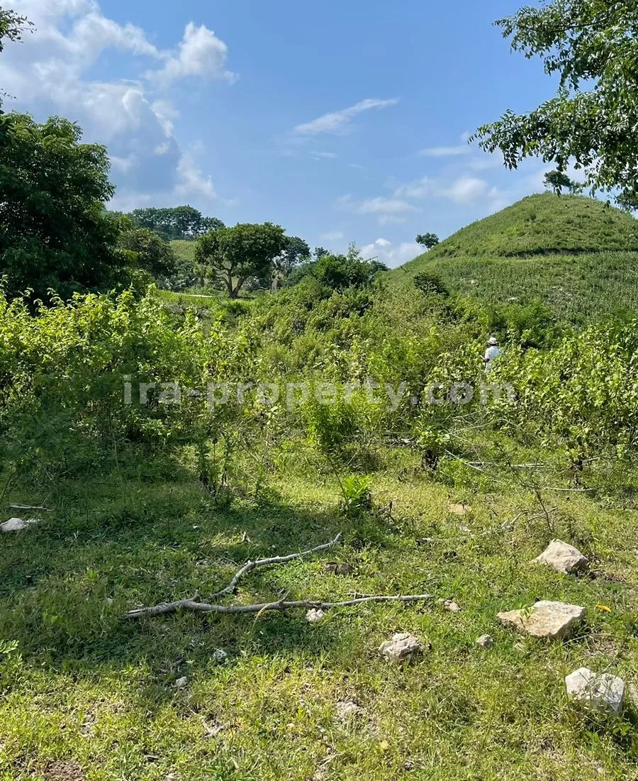 Tanah Dijual dengan Pemandangan Laut di Mawun, Kuta Mandalika - 430-3 - 8