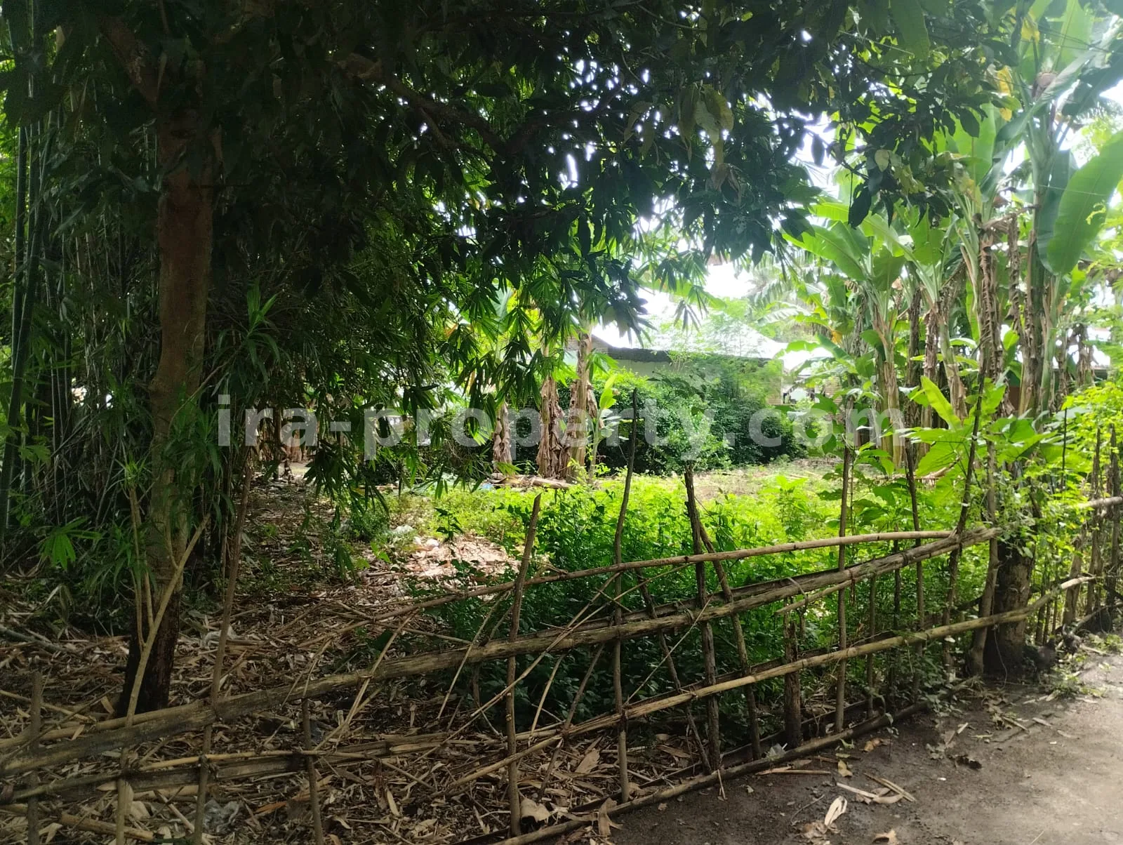 Tanah · Area Lombok Barat · foto 2 dari 5 Tanah Dijual di Meninting, Lombok Barat - 381 - 2