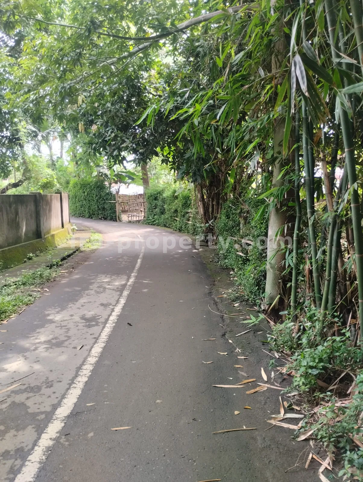Tanah · Area Lombok Barat · foto 4 dari 5 Tanah Dijual di Meninting, Lombok Barat - 381 - 4