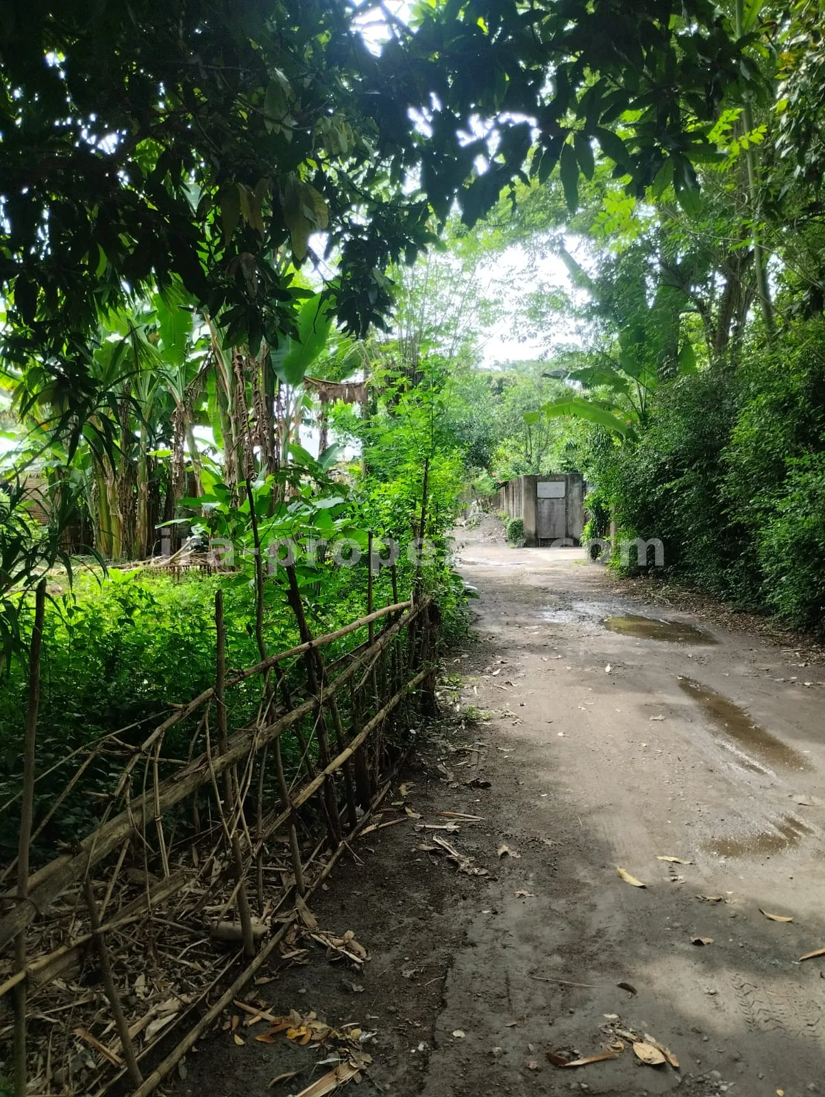 Tanah · Area Lombok Barat · foto 5 dari 5 Tanah Dijual di Meninting, Lombok Barat - 381 - 5