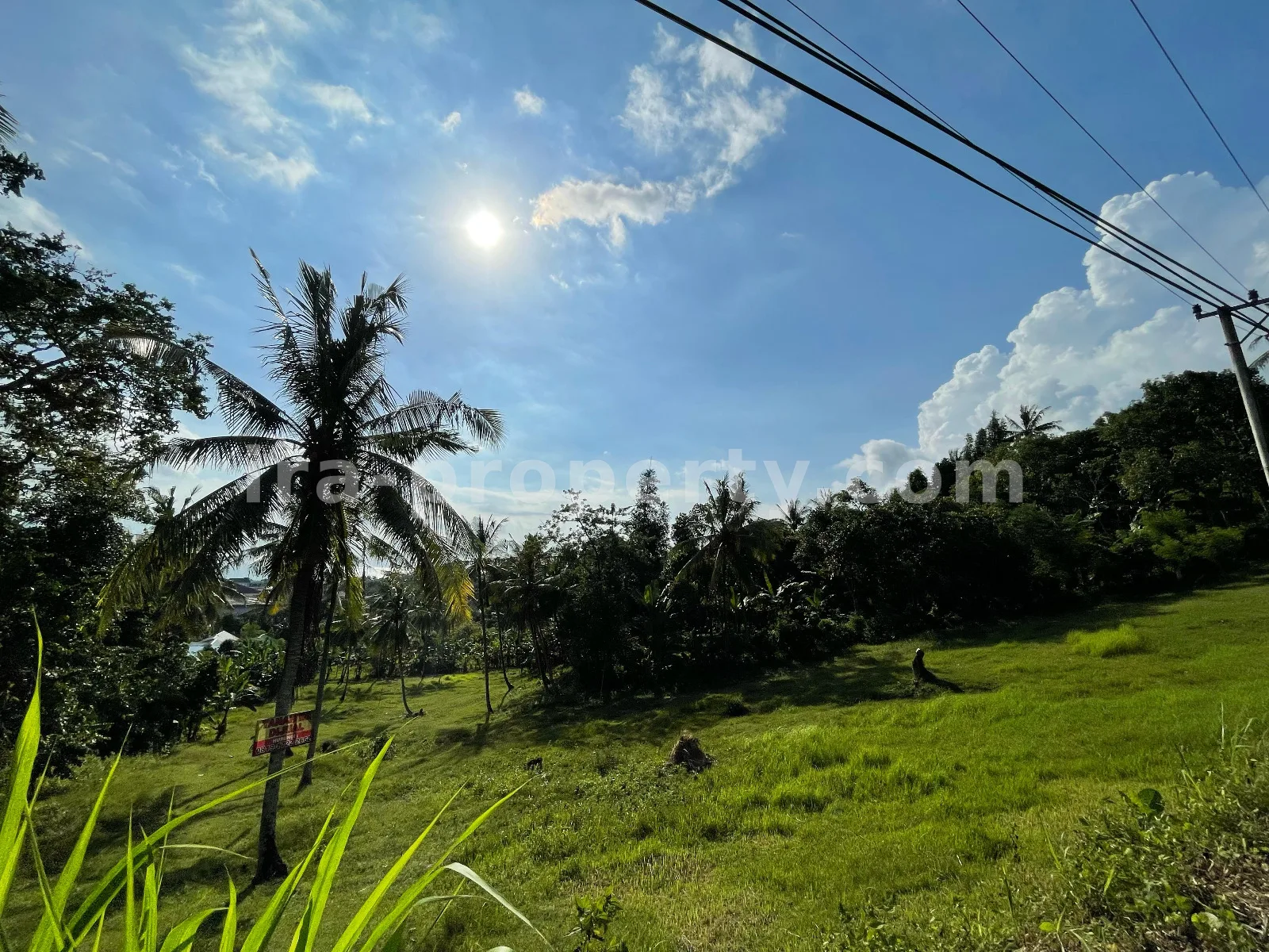 Tanah Tepi Laut di Melase, Batu Layar, Lombok Barat - 379 - 10