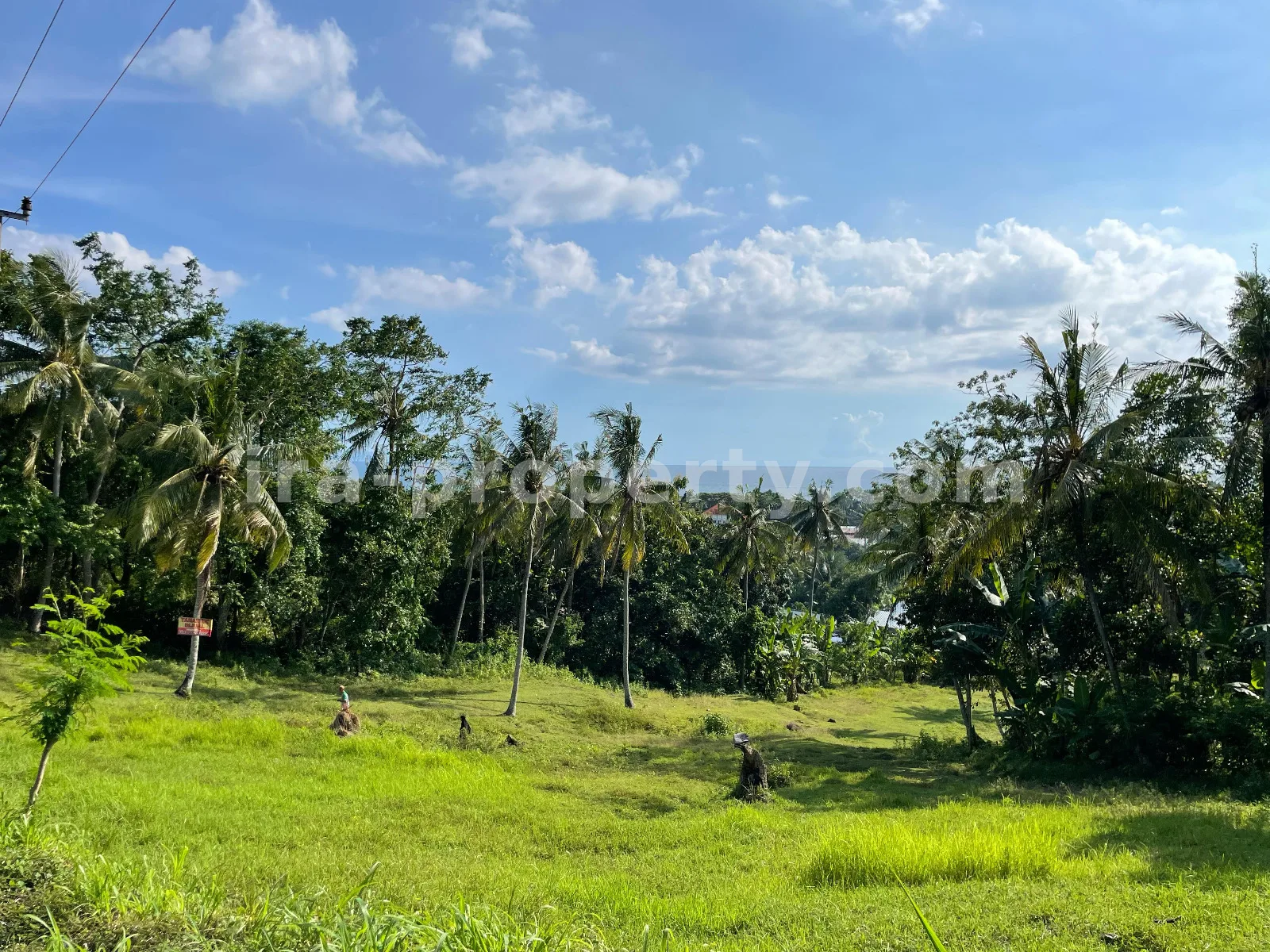 Tanah · Senggigi · foto 4 dari 11 Tanah Tepi Laut di Melase, Batu Layar, Lombok Barat - 379 - 4