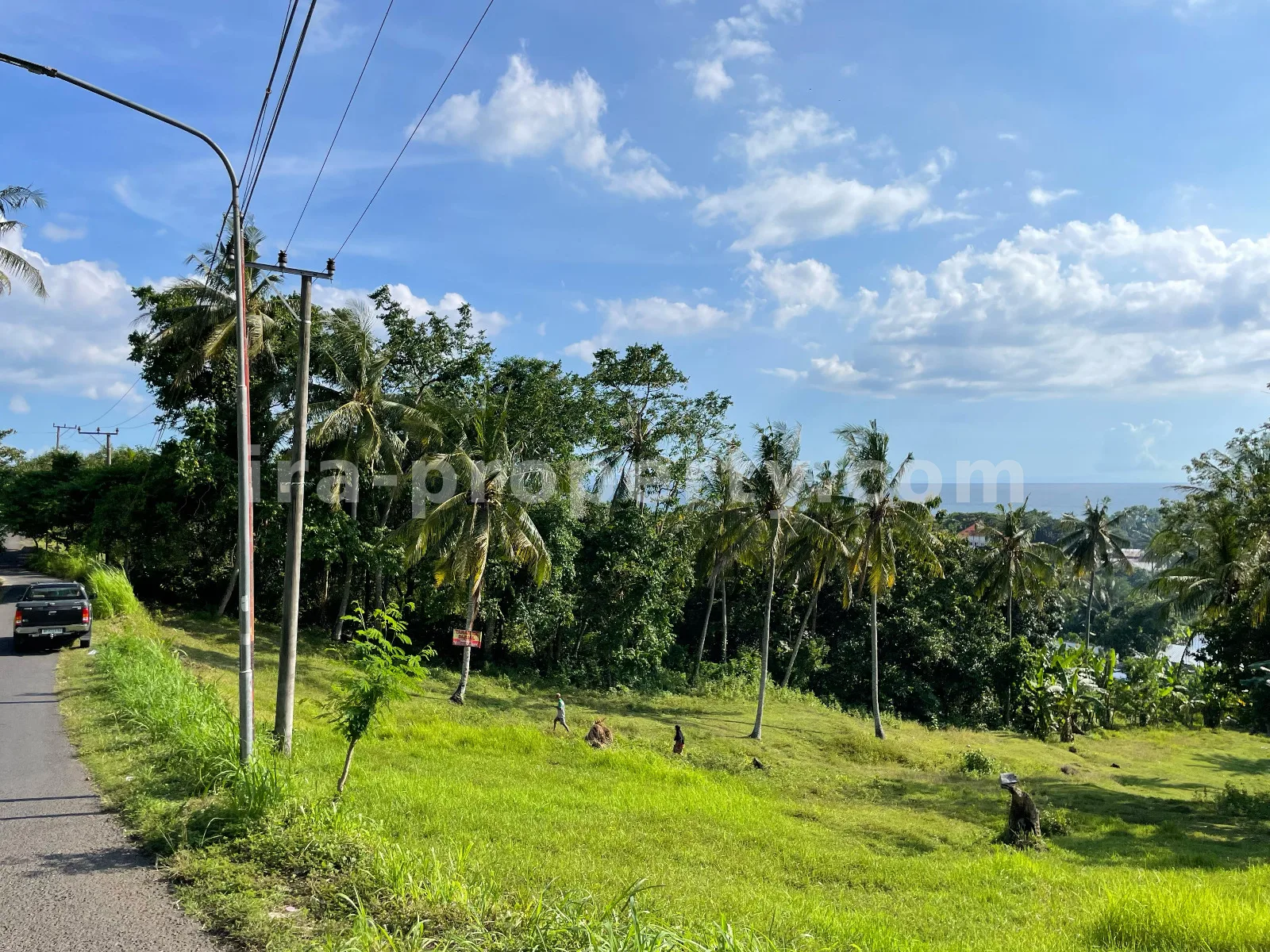 Tanah Tepi Laut di Melase, Batu Layar, Lombok Barat - 379 - 6