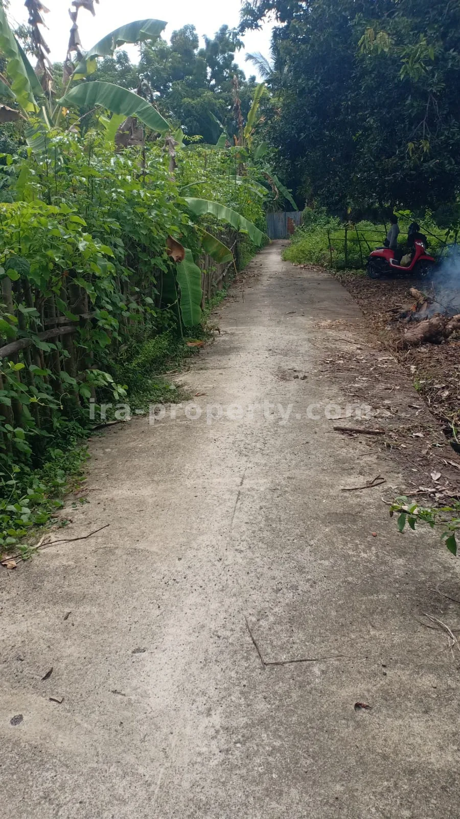 Land · North Lombok Area · photo 4 of 6 Strategic Land Plot for Sale near North Lombok Police Station - 378 - 4
