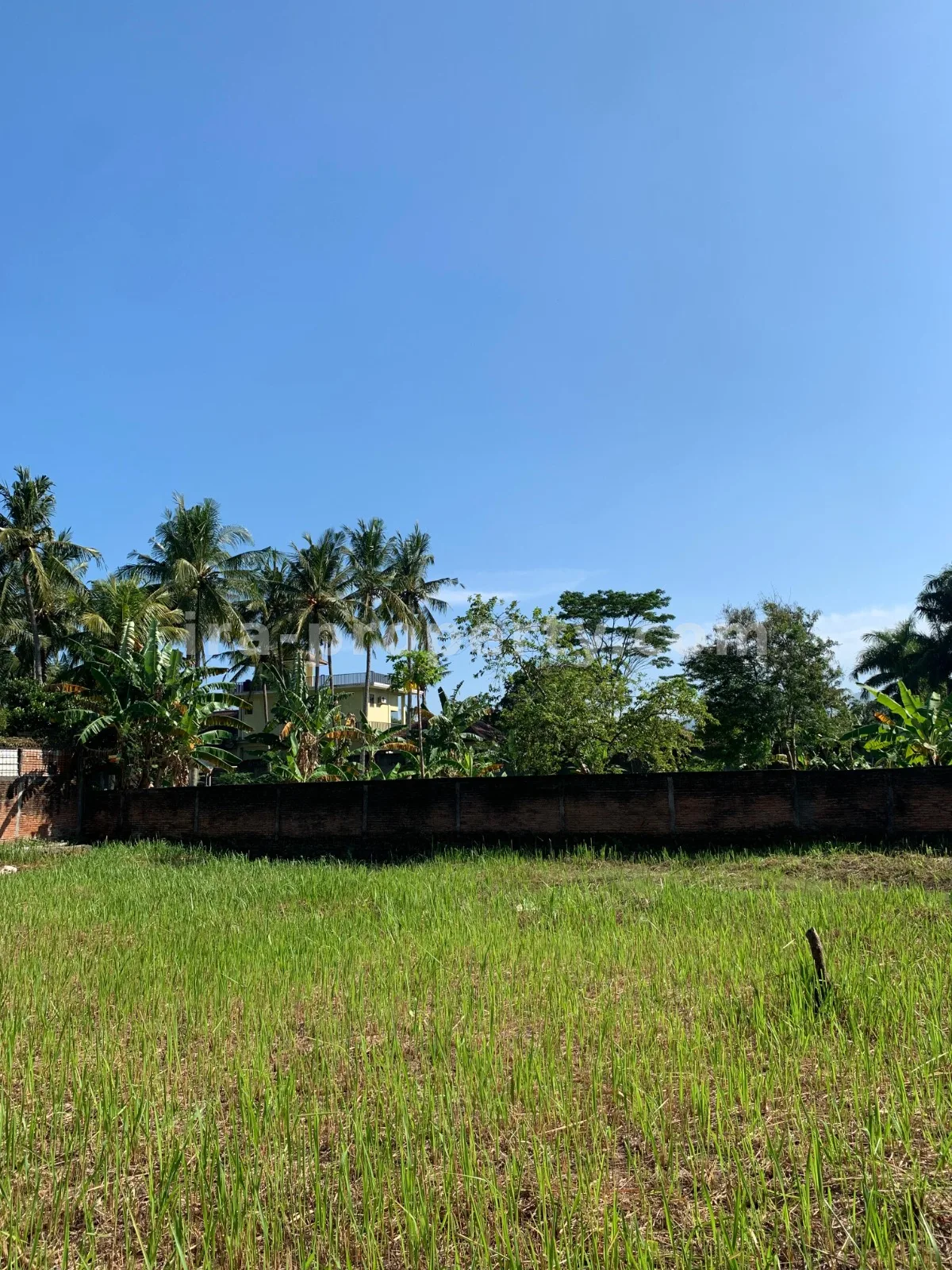 Villa & Hotel · Senggigi · foto 1 dari 9 Tanah Dijual Dekat Hotel Jayakarta, Lombok Barat - 382 - 1