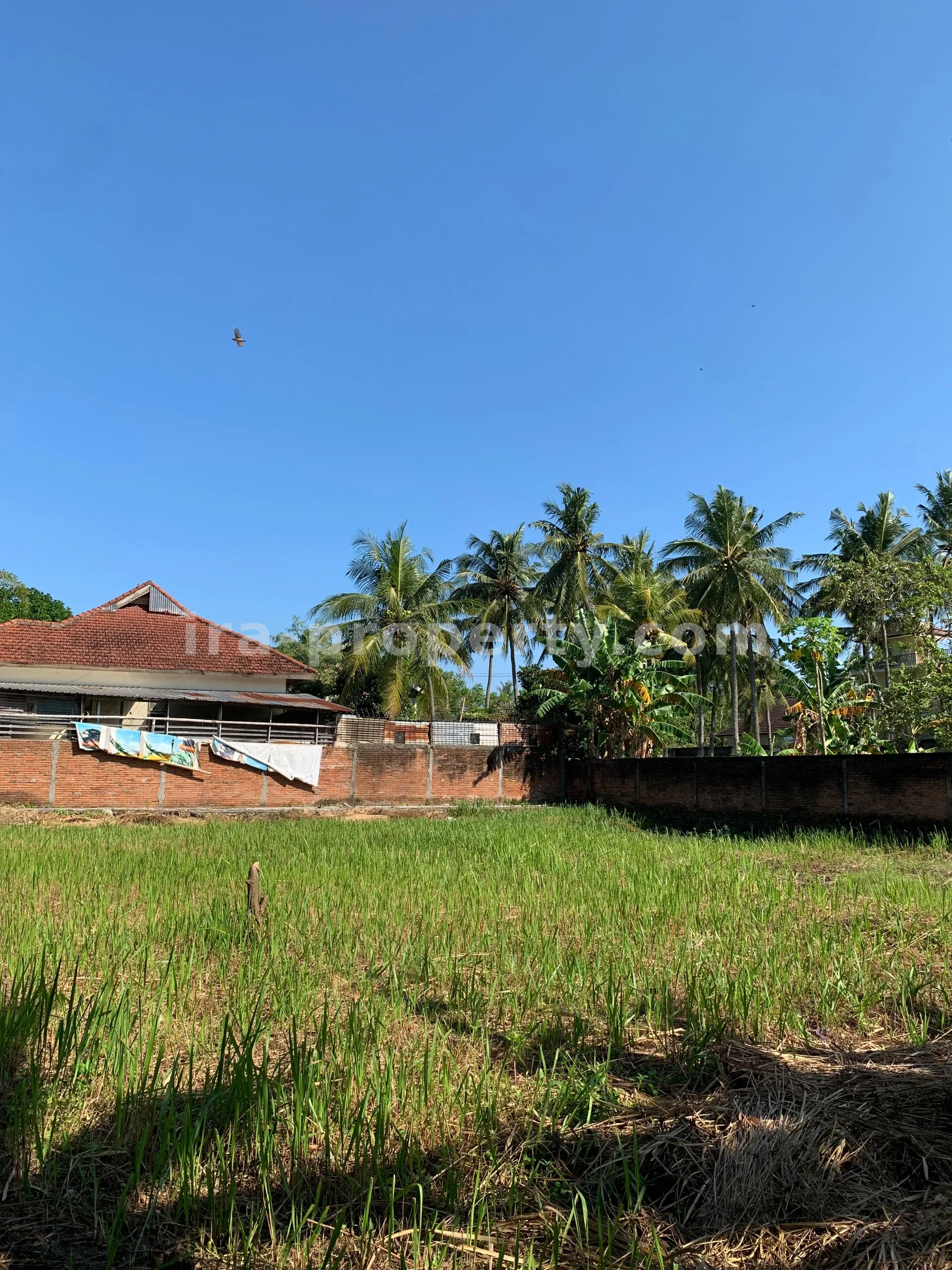Villa & Hotel · Senggigi · foto 2 dari 9 Tanah Dijual Dekat Hotel Jayakarta, Lombok Barat - 382 - 2