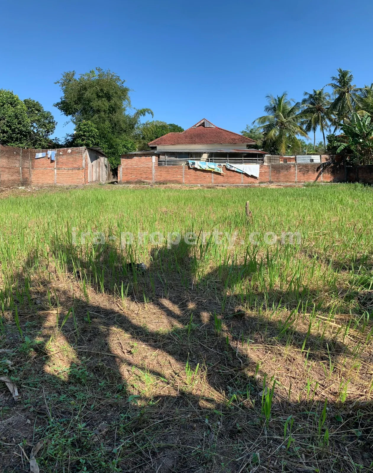 Villa & Hotel · Senggigi · foto 4 dari 9 Tanah Dijual Dekat Hotel Jayakarta, Lombok Barat - 382 - 4