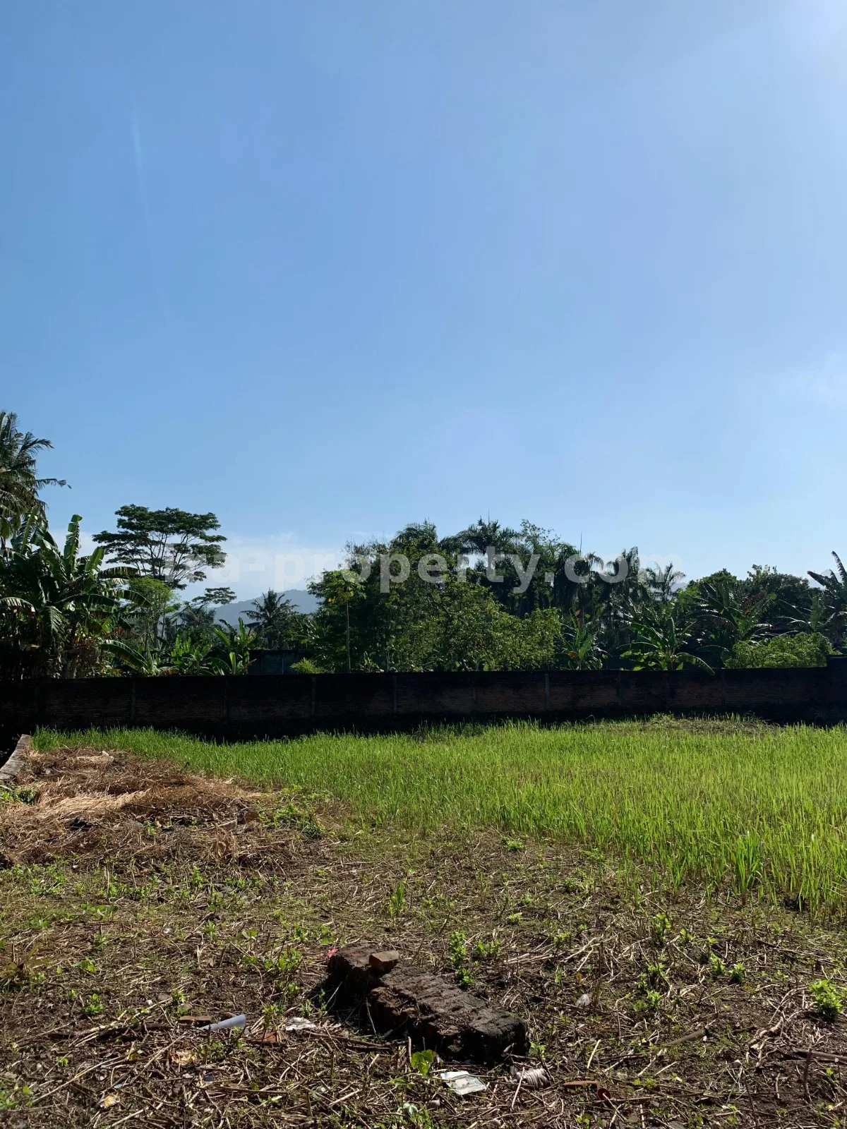 Villa & Hotel · Senggigi · foto 5 dari 9 Tanah Dijual Dekat Hotel Jayakarta, Lombok Barat - 382 - 5