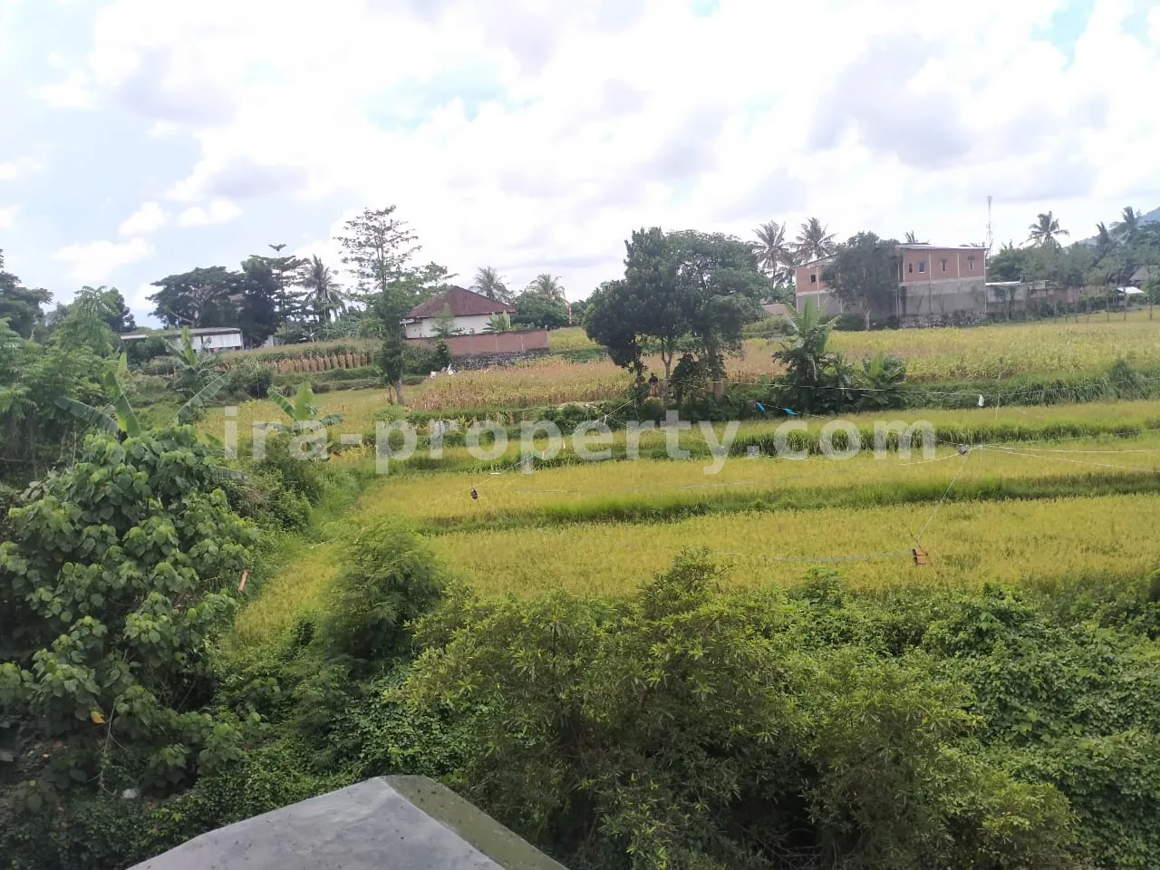 Tanah · Area Lombok Barat · foto 1 dari 5 Tanah Pinggir Jalan Raya Kuripan, Lombok Barat - 405-2 - 1