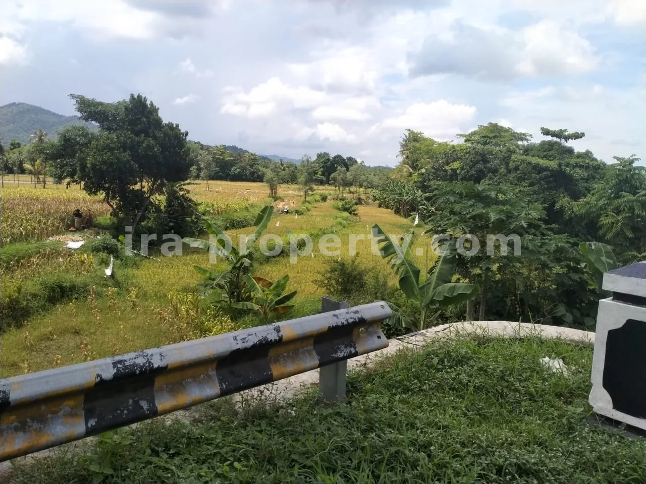 Tanah · Area Lombok Barat · foto 4 dari 5 Tanah Pinggir Jalan Raya Kuripan, Lombok Barat - 405-2 - 4