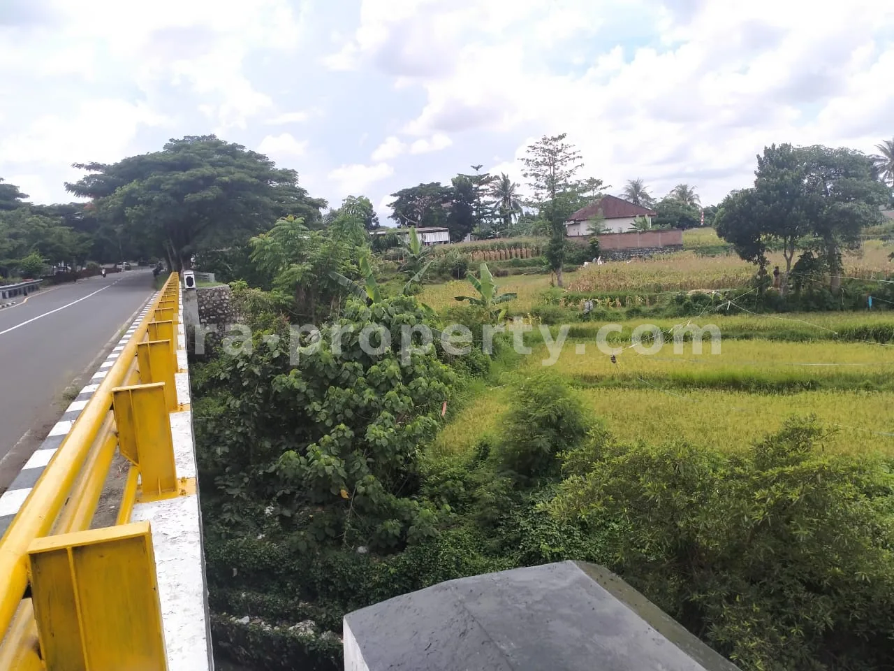 Tanah · Area Lombok Barat · foto 5 dari 5 Tanah Pinggir Jalan Raya Kuripan, Lombok Barat - 405-2 - 5