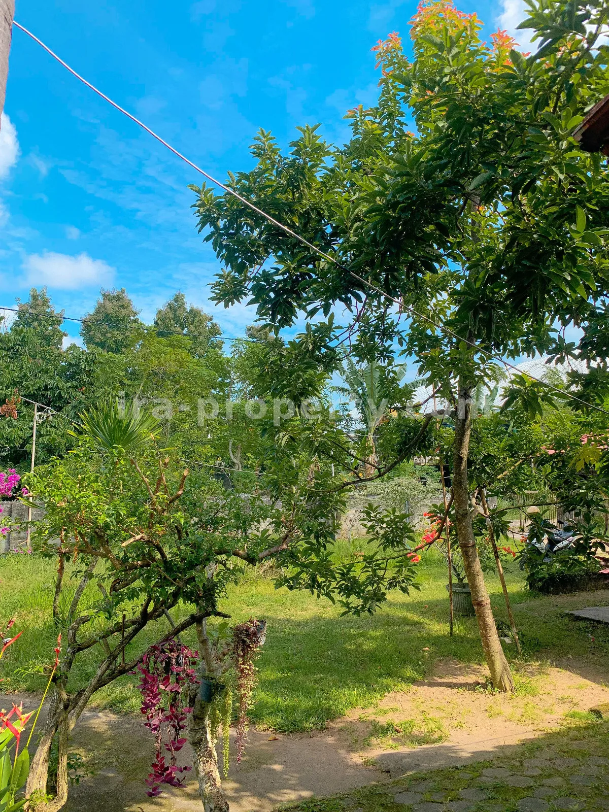 Rumah · Area Lombok Barat · foto 4 dari 10 Rumah Luas Dijual di Sandik, Lombok Barat - 706 - 4