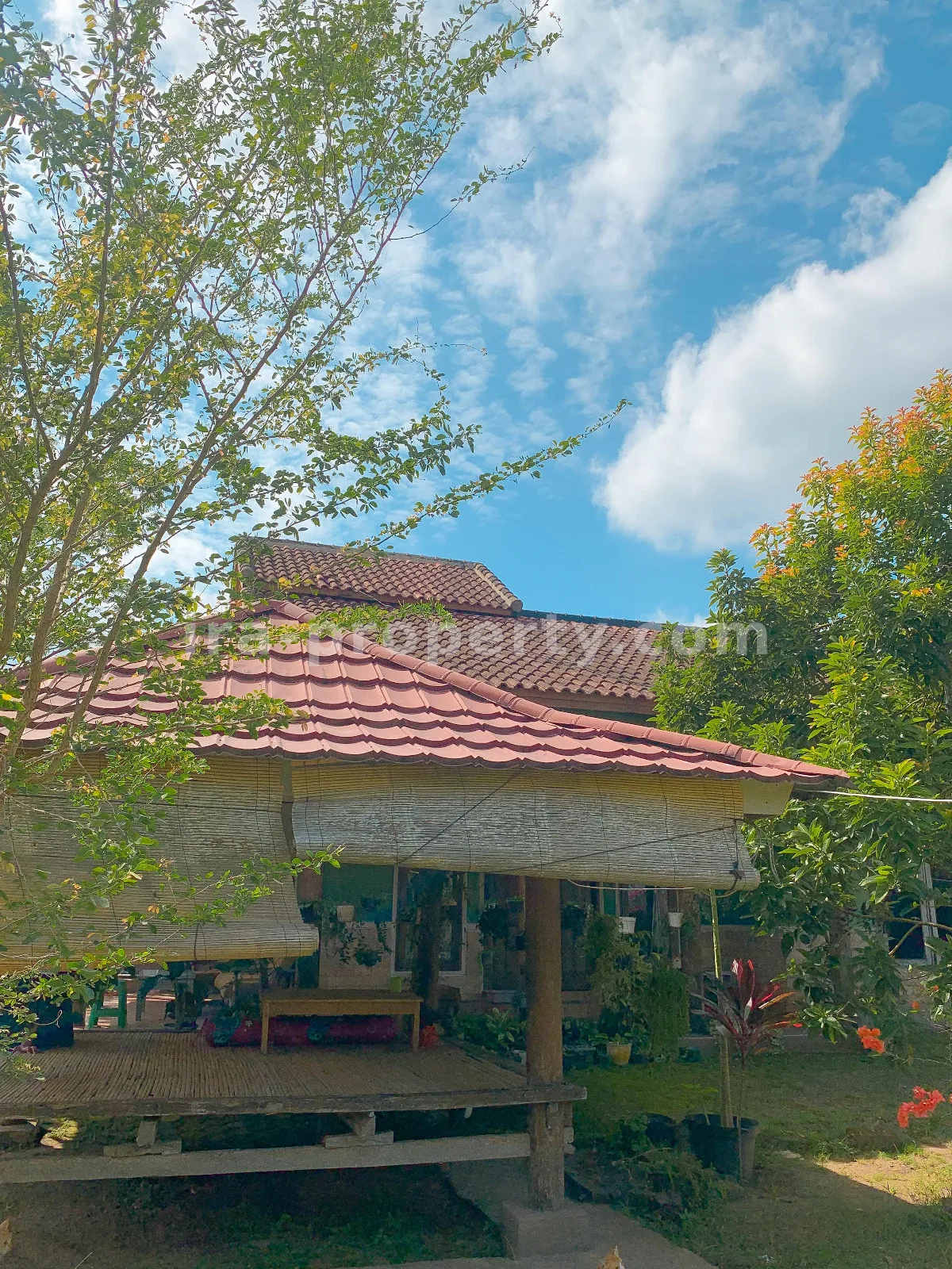 Rumah Luas Dijual di Sandik, Lombok Barat - 706 - 6