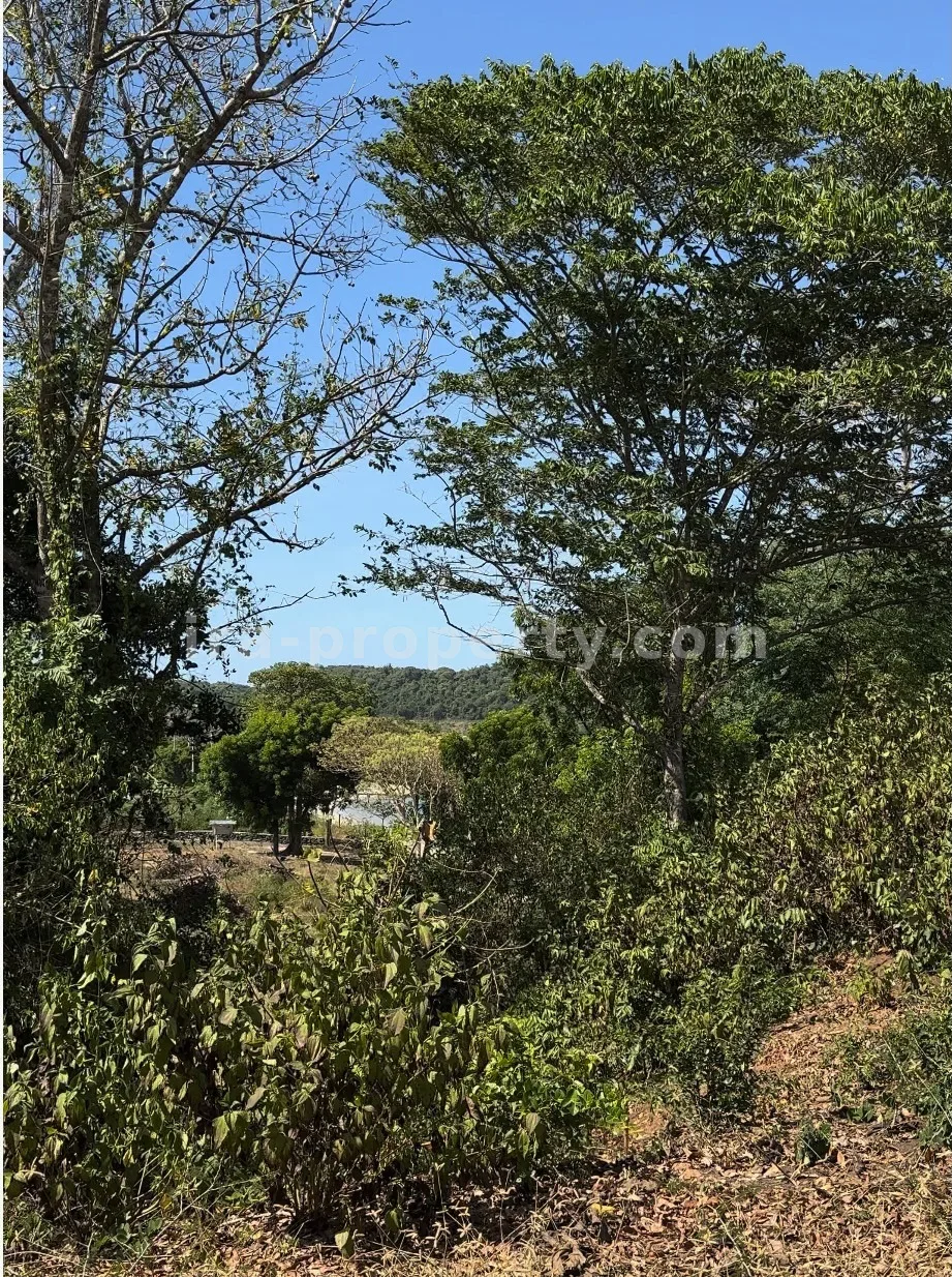 Tanah · Kuta Mandalika · foto 5 dari 7 Tanah Tepi Pantai di Bumbang, Dekat Kuta Mandalika - 507 - 5