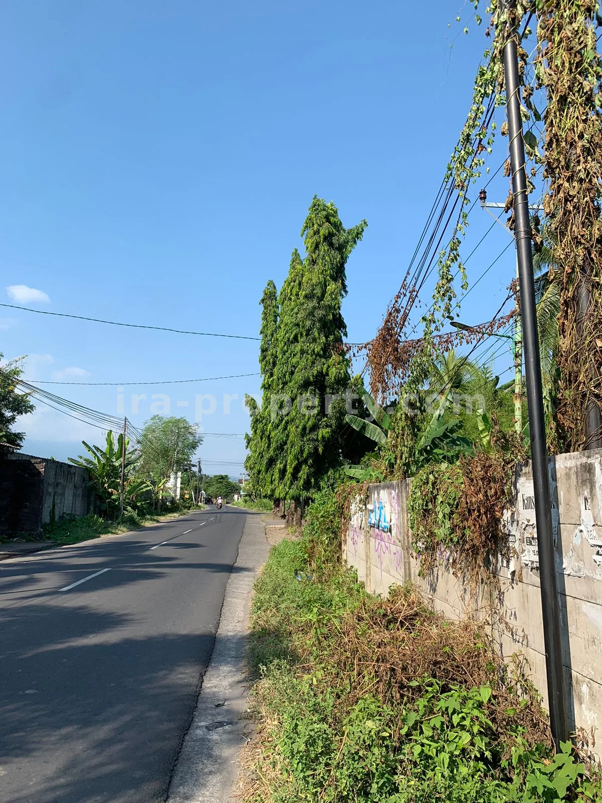 Tanah · Batu Layar · foto 4 dari 4 Tanah Strategis di Jalan Wisata, Montong Batu Layar, Lombok Barat - 395 - 4