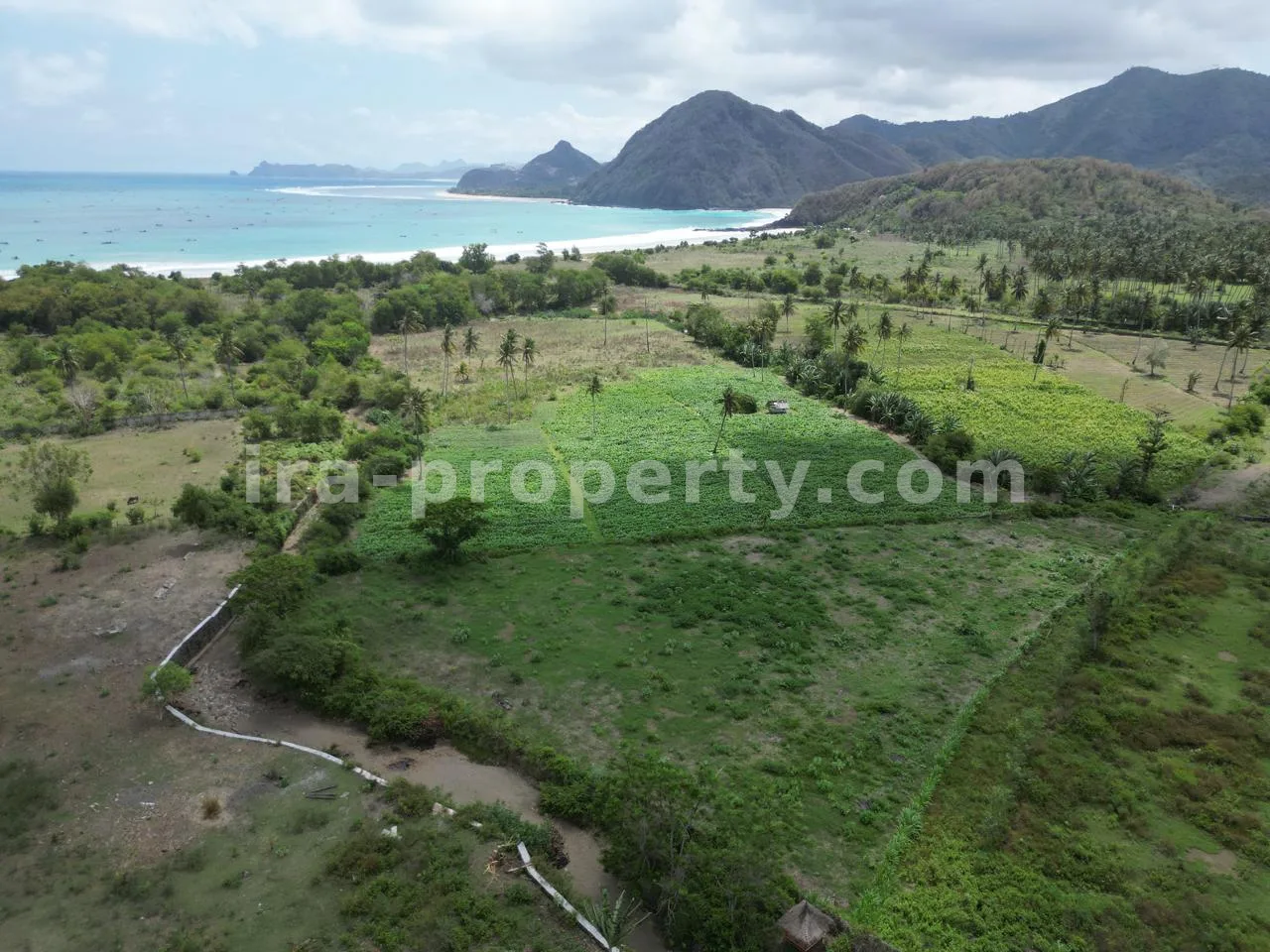 Tanah Pantai Depan untuk Dijual di Selong Belanak – Dekat Kuta Mandalika - 513 - 10