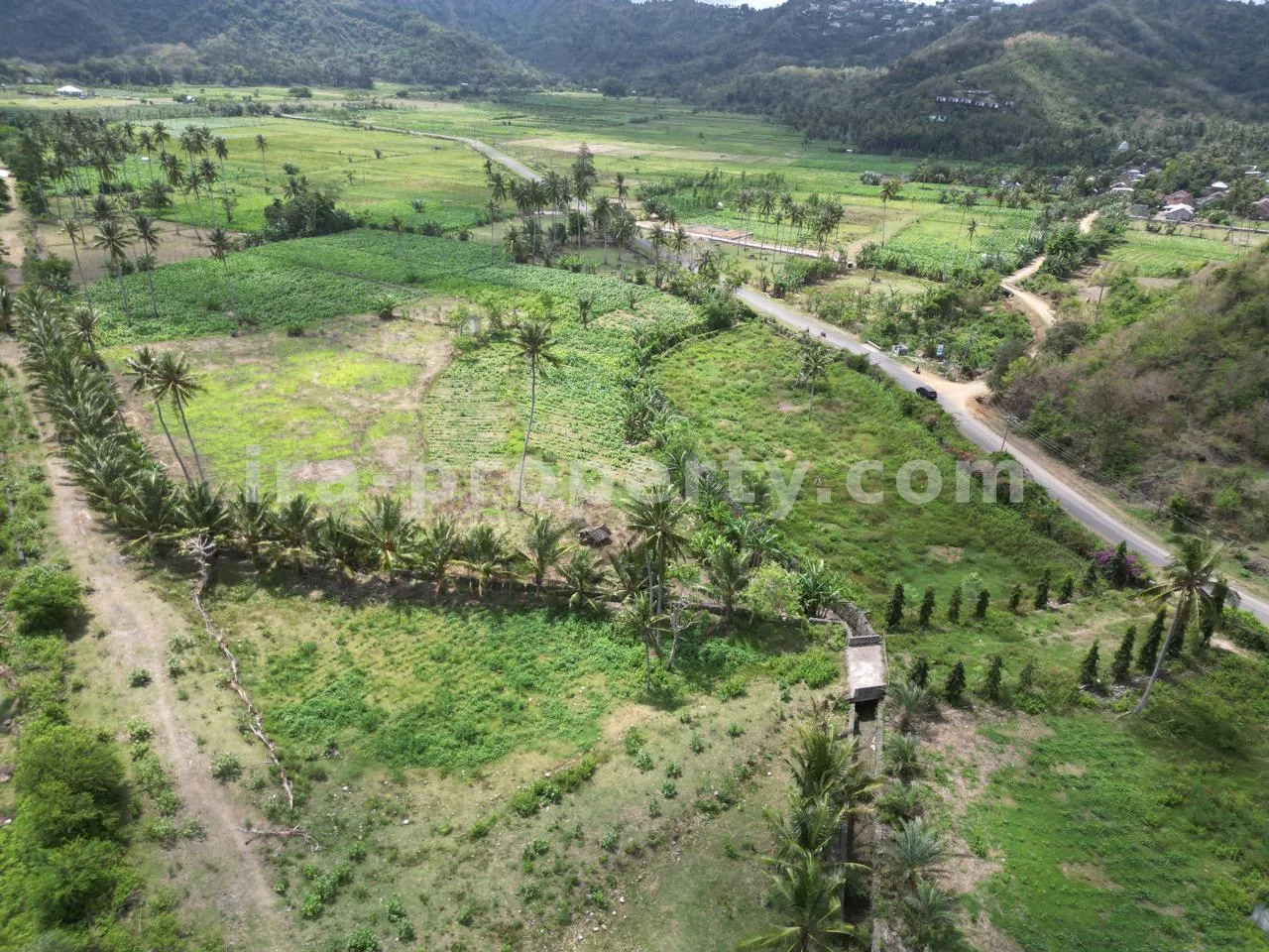 Tanah · Kuta Mandalika · foto 3 dari 13 Tanah Pantai Depan untuk Dijual di Selong Belanak – Dekat Kuta Mandalika - 513 - 3