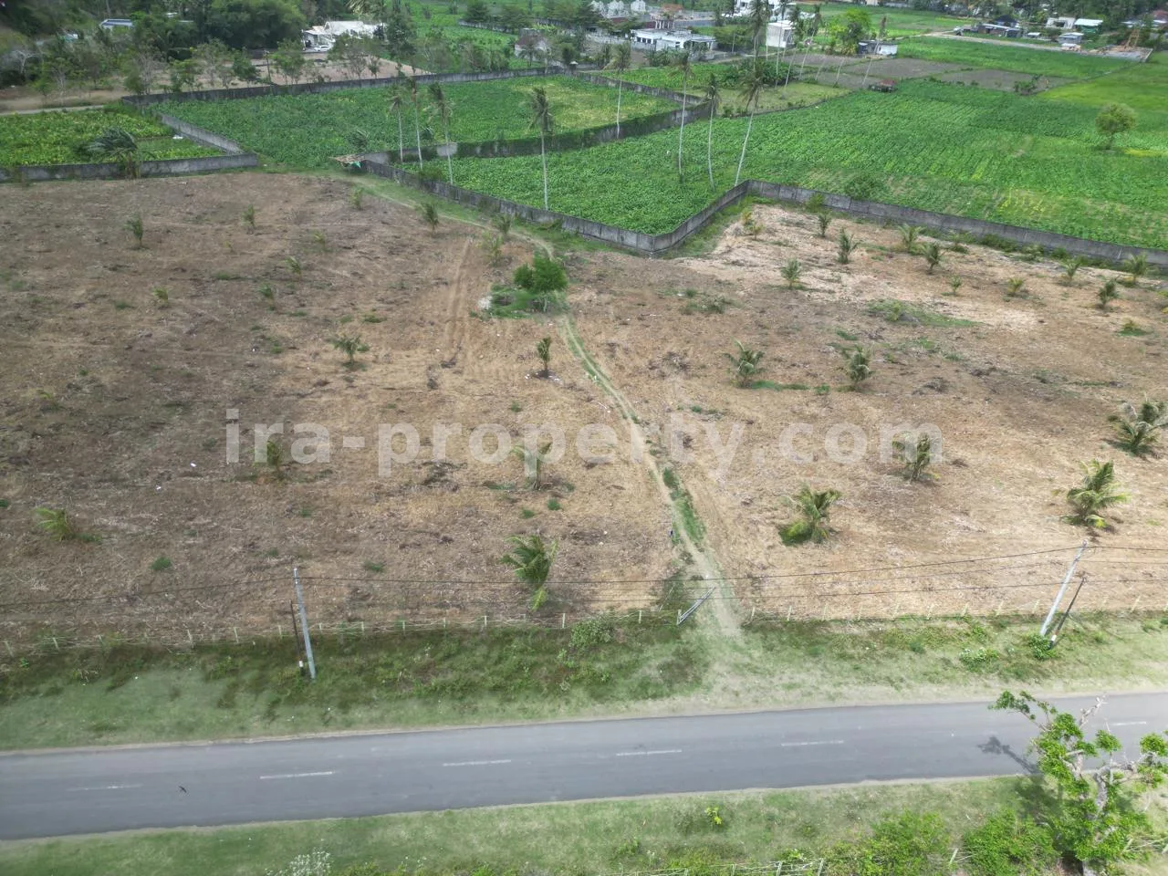 Tanah · Kuta Mandalika · foto 4 dari 9 Tanah Strategis di Selong Belanak Dekat Kuta Mandalika - 515-2 - 4