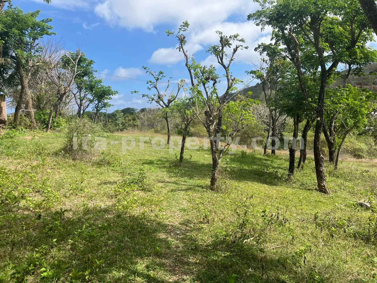 Land · Kuta Mandalika · photo 4 of 4 Land for Sale on Areguling Road to Selong Belanak – Near Kuta Mandalika - 519 - 4