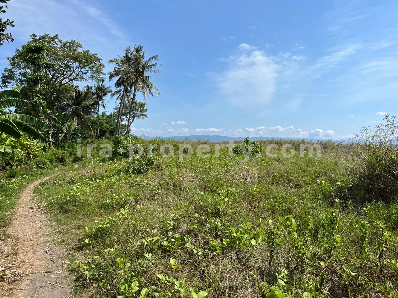 Tanah · Area Lombok Barat · foto 3 dari 12 Tanah Pantai Terjangkau untuk Dijual di Kuranji, Lombok Barat - 408 - 3