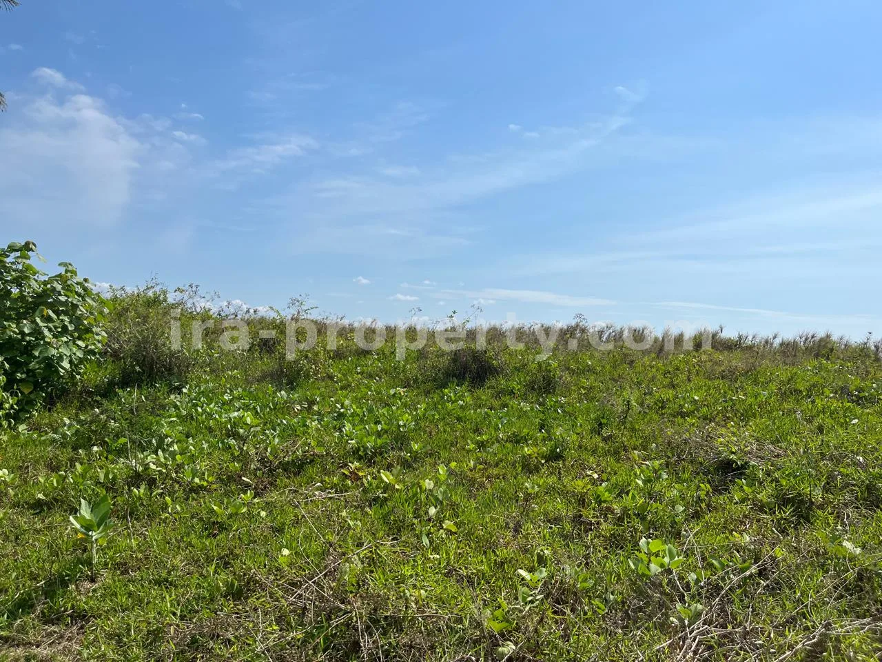 Tanah · Area Lombok Barat · foto 5 dari 12 Tanah Pantai Terjangkau untuk Dijual di Kuranji, Lombok Barat - 408 - 5