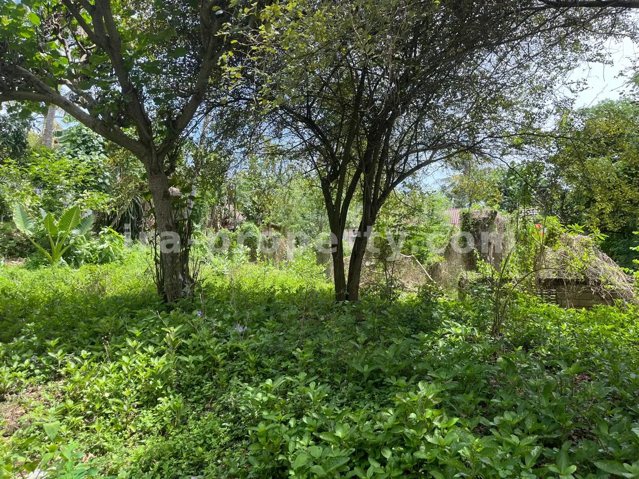 Land · Kuta Mandalika · photo 4 of 7 Affordable Land Plot for Sale in Central Kuta Mandalika - 524-2 - 4