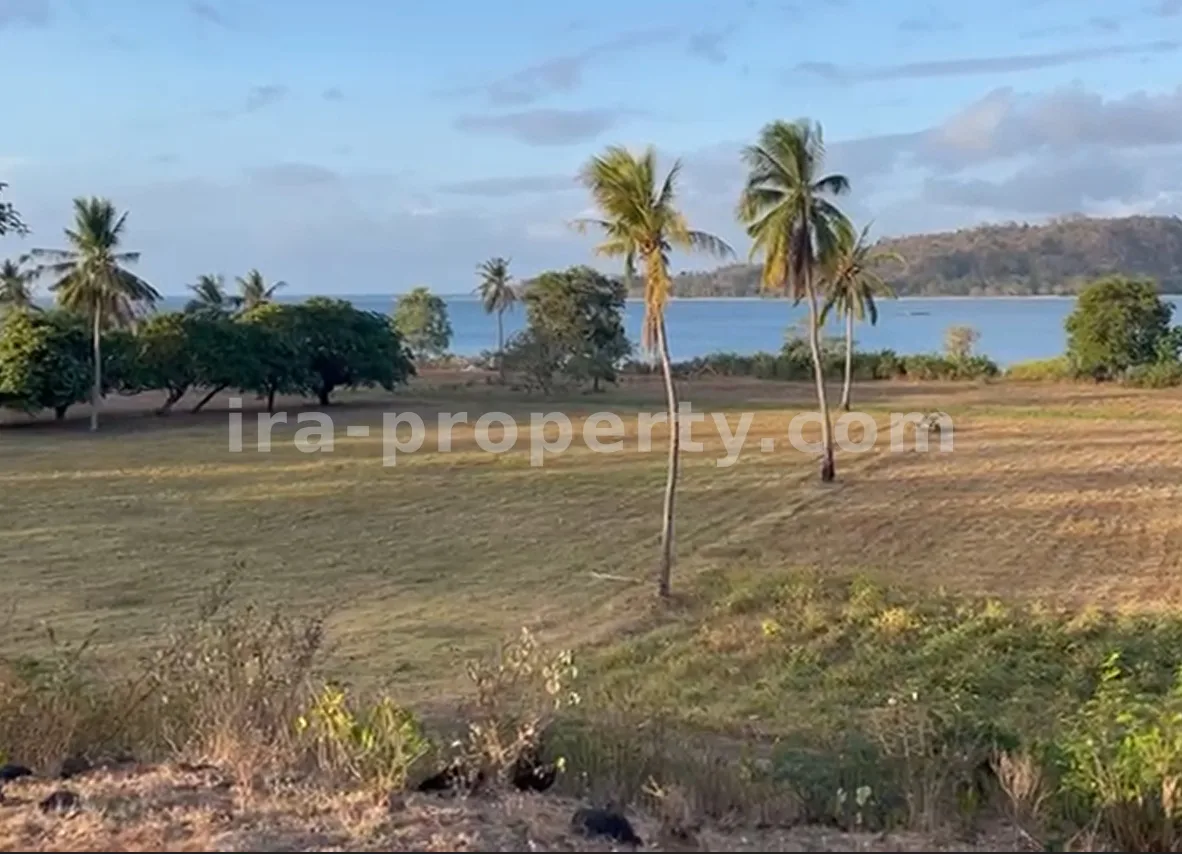 Tanah · Sekotong · foto 3 dari 7 Tanah Tepi Pantai di Sekotong, Lombok Barat - 200 - 3