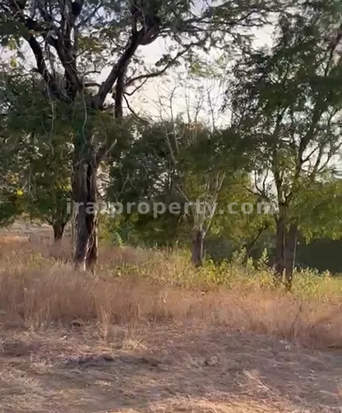Tanah · Sekotong · foto 4 dari 7 Tanah Tepi Pantai di Sekotong, Lombok Barat - 200 - 4