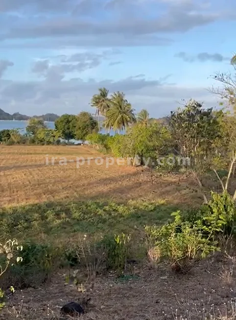 Tanah Tepi Pantai di Sekotong, Lombok Barat - 200 - 7