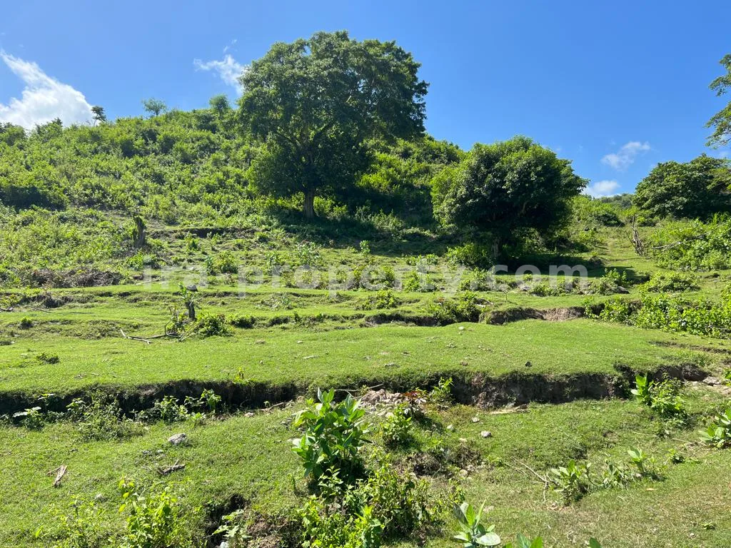 Tanah · Area Lombok Barat · foto 2 dari 11 Tanah Perbukitan dengan Pemandangan Laut di Pengantap - 286 - 2