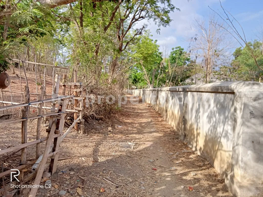 Tanah · Kuta Mandalika · foto 5 dari 11 Tanah Perbukitan View Laut di Gerupuk Dekat Mandalika - 536 - 5