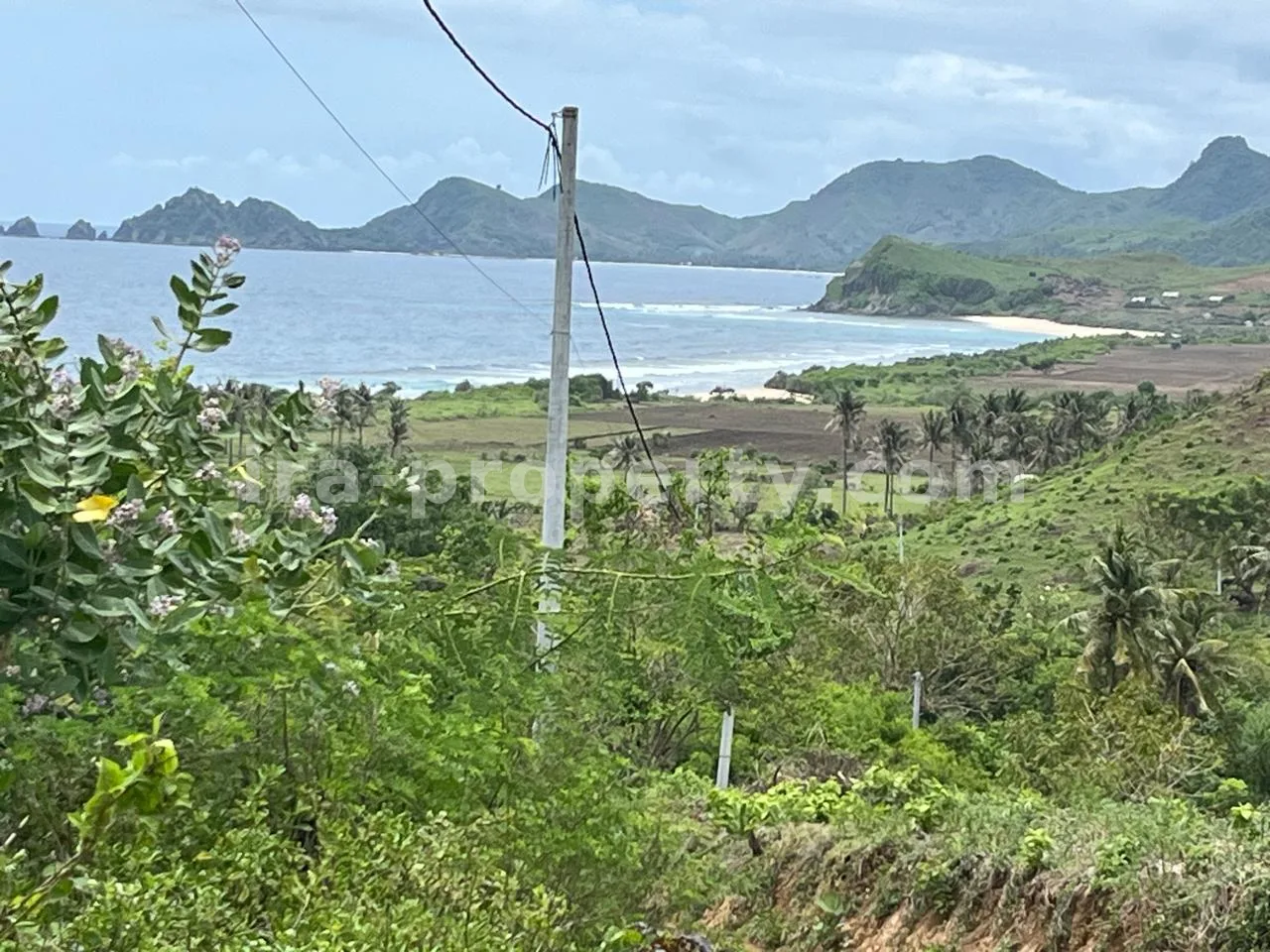 Tanah · Sekotong · foto 2 dari 10 Tanah Pemandangan Laut di Pengantap, Buwun Mas, Lombok Barat - 532 - 2