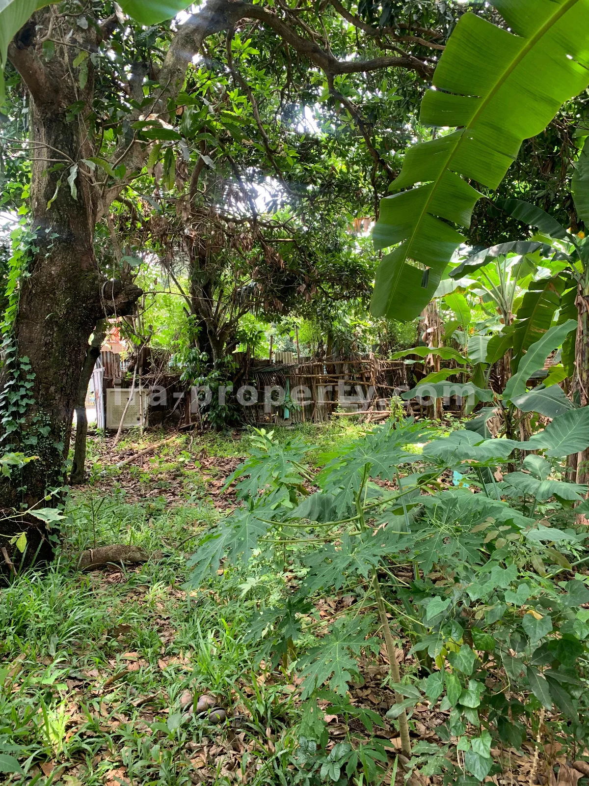 Tanah Strategis Pinggir Jalan di Rembiga, Mataram - 509 - 10