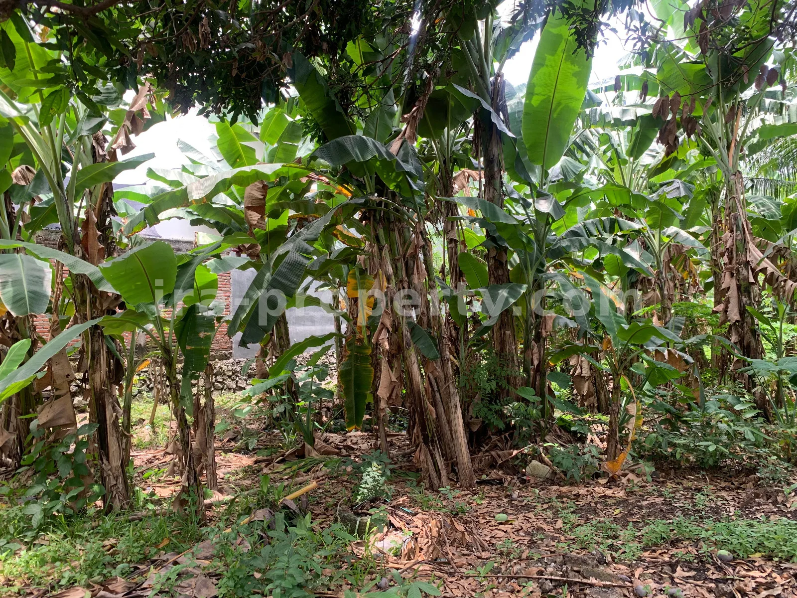 Villa & Hotel · Kota Mataram · foto 2 dari 15 Tanah Strategis Pinggir Jalan di Rembiga, Mataram - 509 - 2