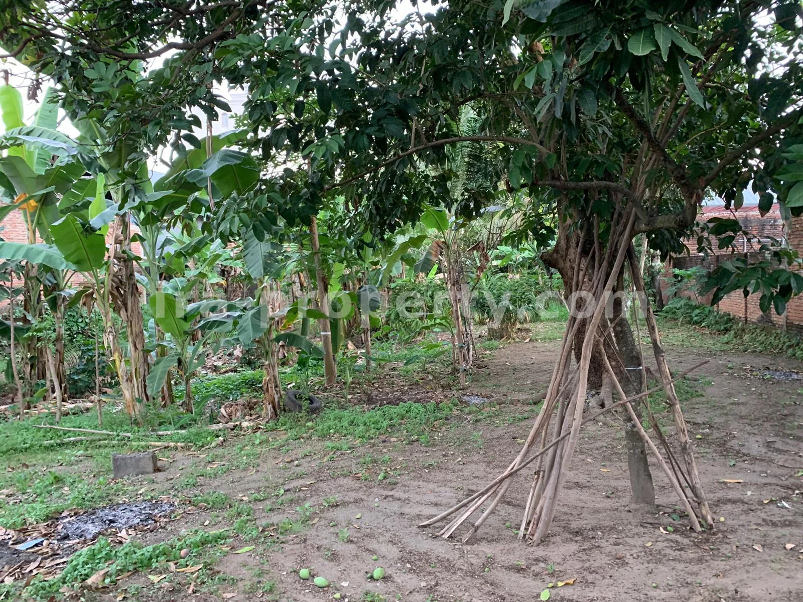 Tanah Strategis Pinggir Jalan di Rembiga, Mataram - 509 - 8