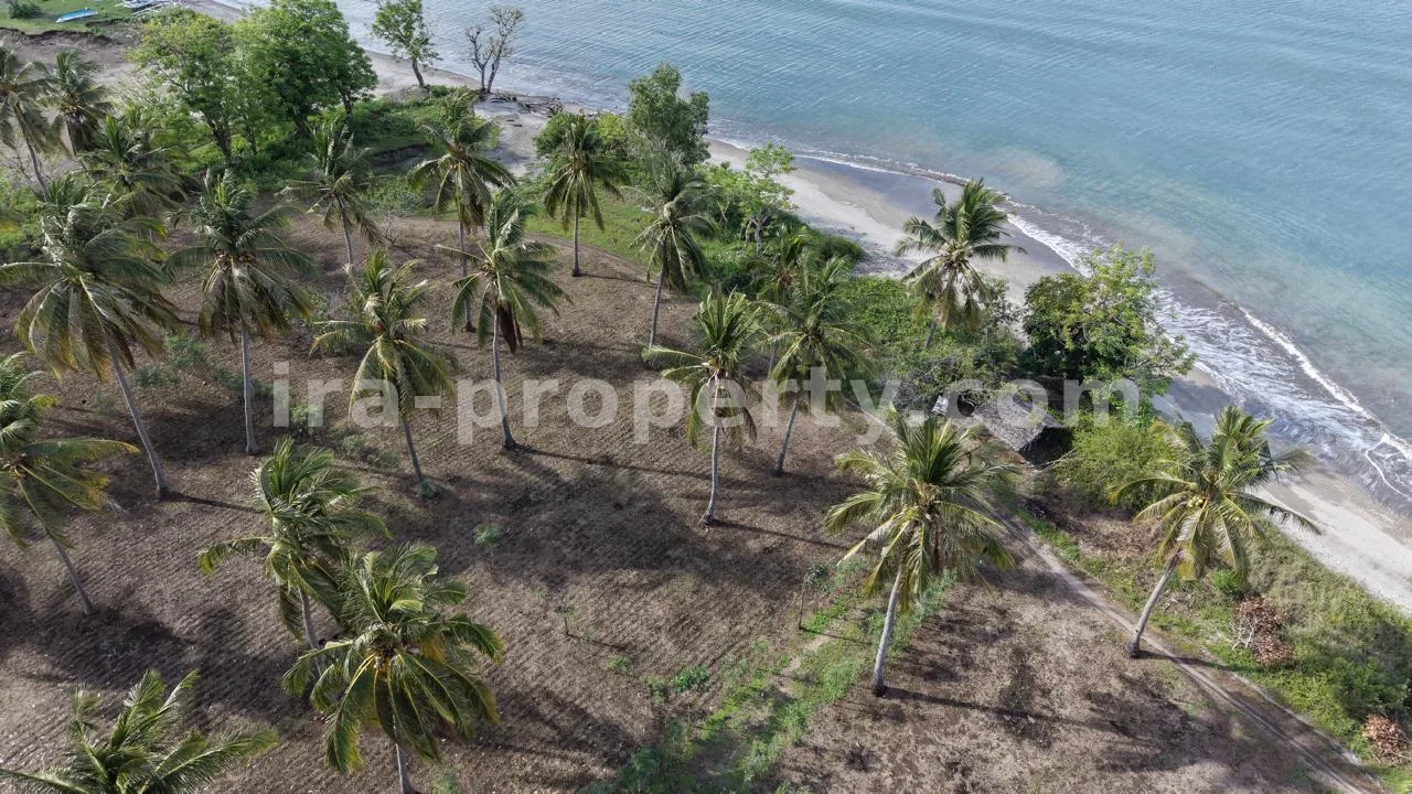 Tanah · Sekotong · foto 1 dari 10 Tanah Tepi Pantai di Batu Putih, Sekotong - 205 - 1