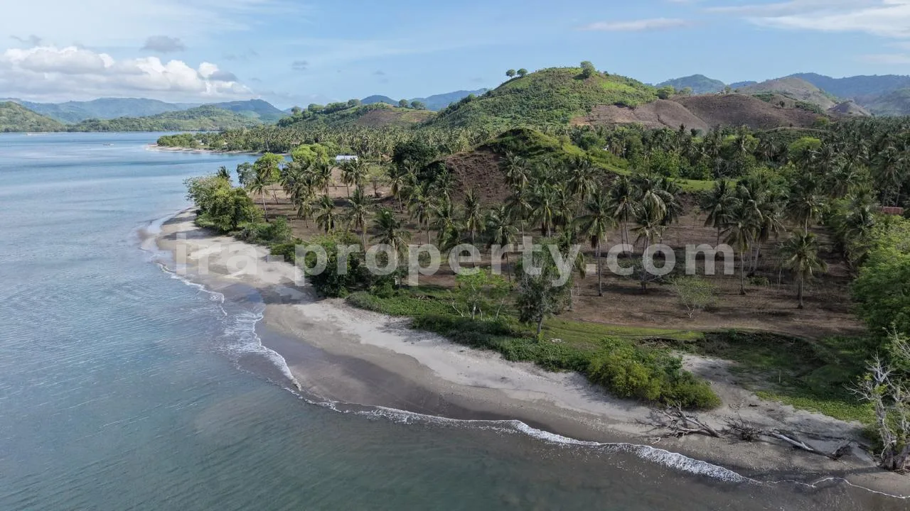 Tanah Tepi Pantai di Batu Putih, Sekotong - 205 - 10