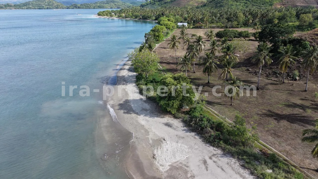 Tanah · Sekotong · foto 5 dari 10 Tanah Tepi Pantai di Batu Putih, Sekotong - 205 - 5