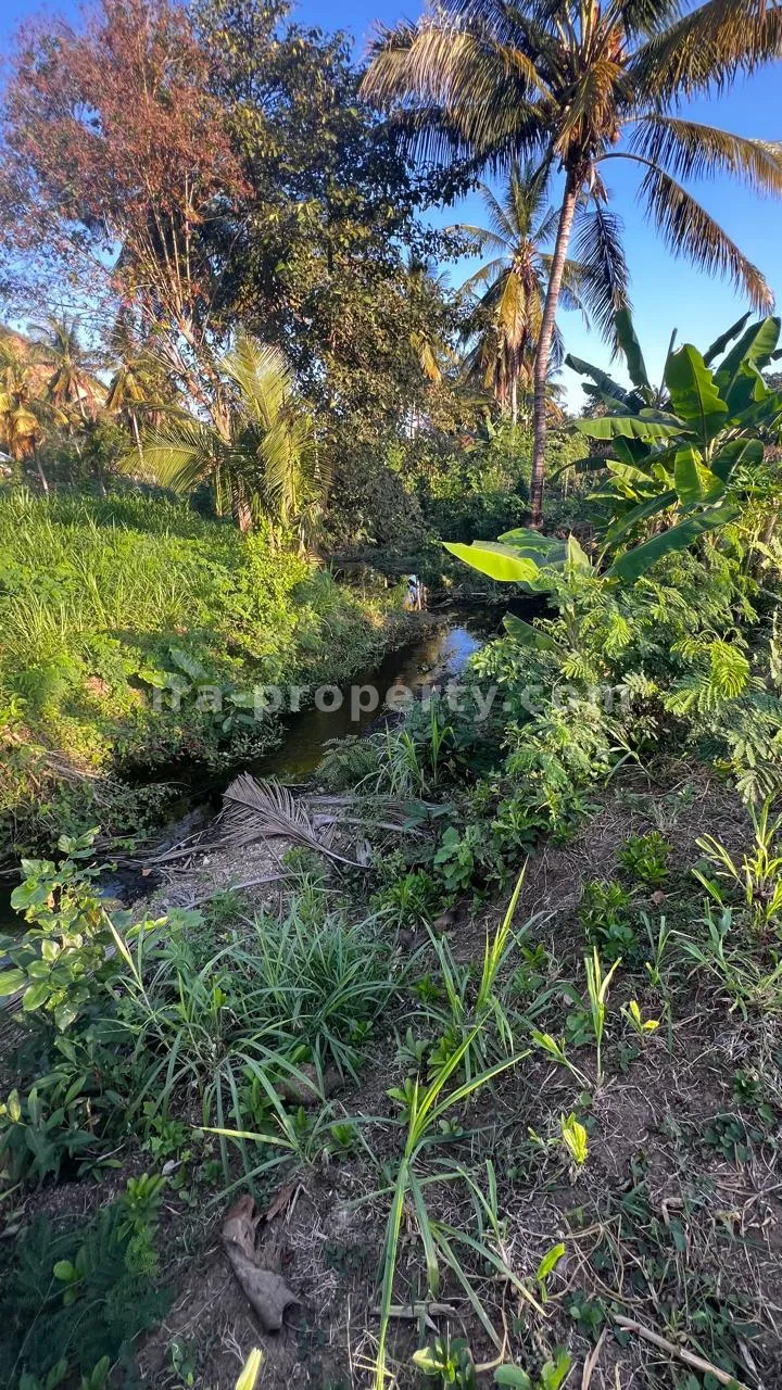 Ocean-View Land Plots in Prabu Areguling near Kuta Mandalika - 537 - 15