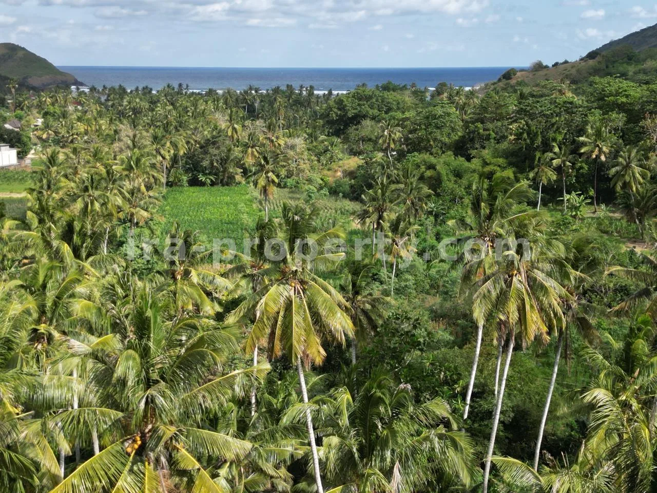 Land · Kuta Mandalika · photo 2 of 17 Ocean-View Land Plots in Prabu Areguling near Kuta Mandalika - 537 - 2