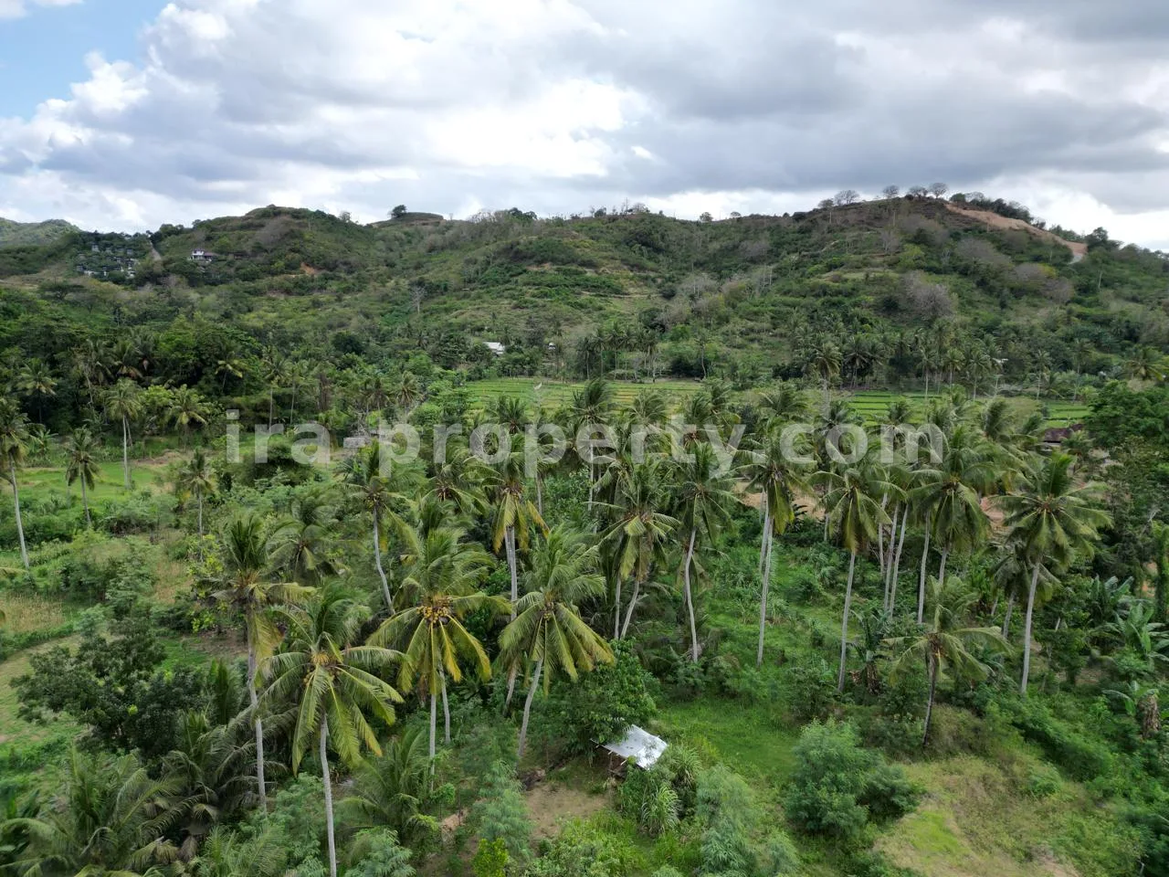 Land · Kuta Mandalika · photo 3 of 17 Ocean-View Land Plots in Prabu Areguling near Kuta Mandalika - 537 - 3