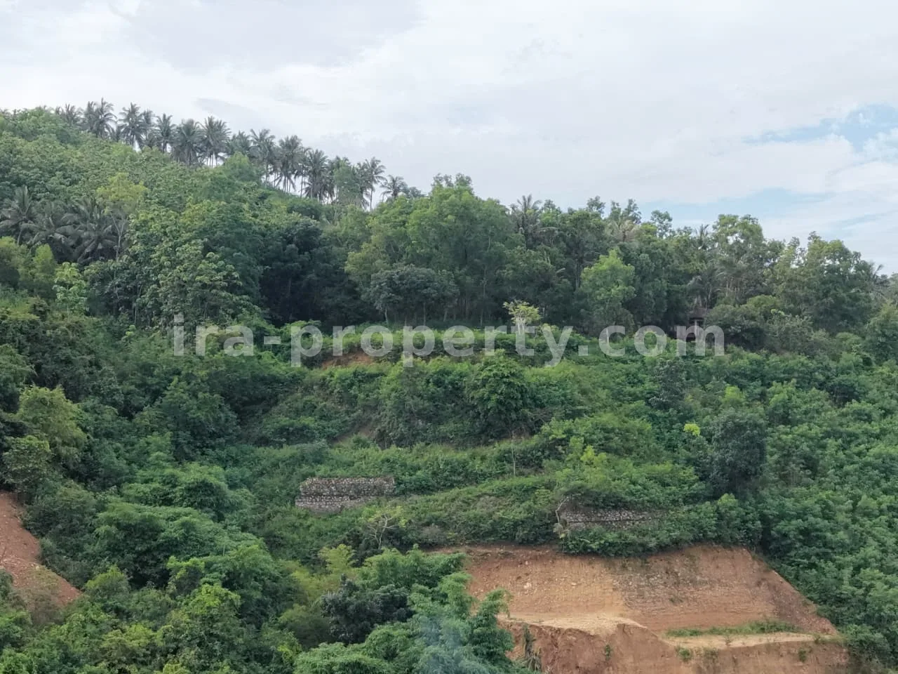 Villa & Hotel · Kuta Mandalika · photo 3 of 4 Ocean View Land for Villa Development – Kuta Mandalika - 543 - 3