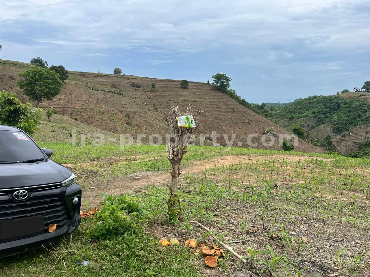 Villa & Hotel · Sekotong · foto 4 dari 6 Tanah dengan Pemandangan Laut di Sekotong, Dekat Sundancer - 208 - 4